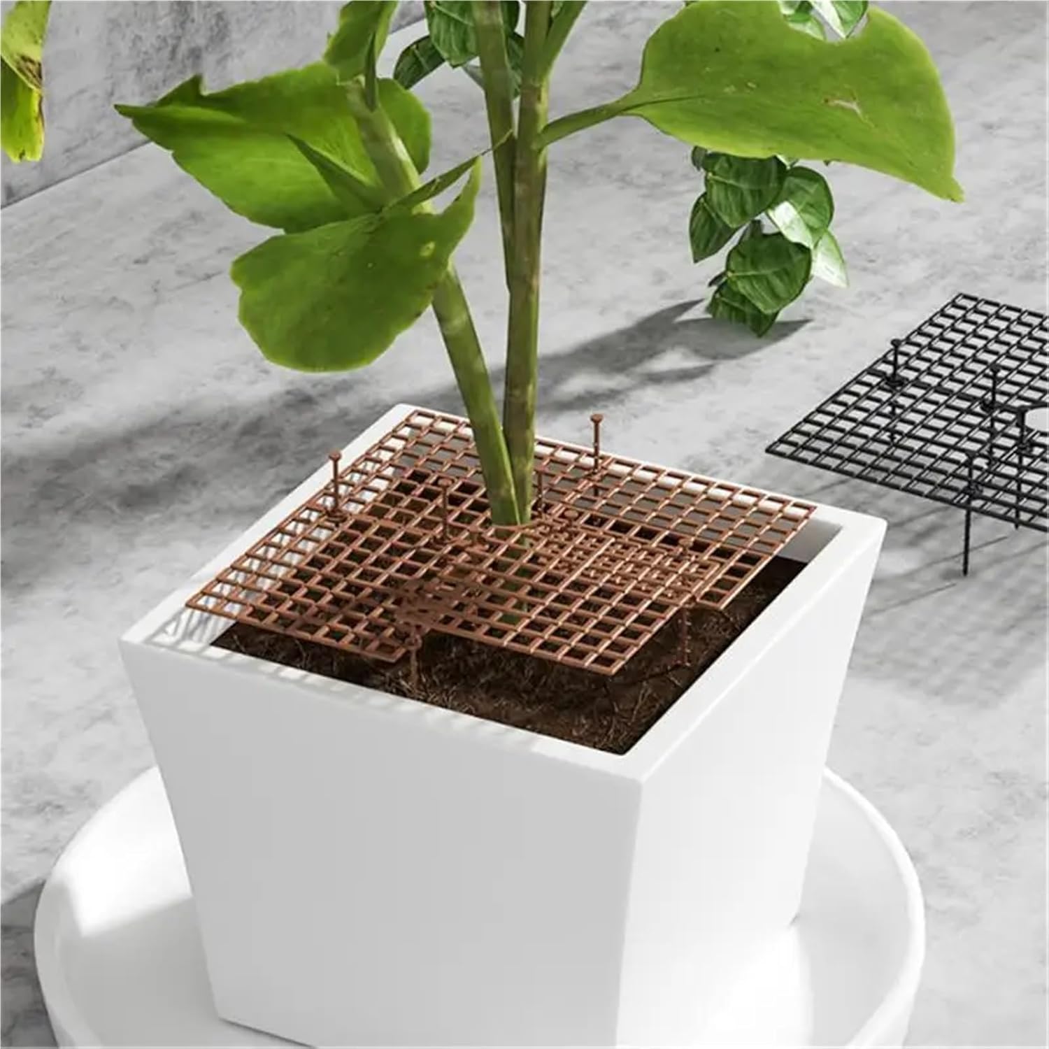 Plant Pot Cover 3pcs Flower Pot Cover Grid Garden Soil Guard Plant Protector Home Indoor Repel Cat Dog Protection for Outdoor Garden(Coffee,Square 30cm)