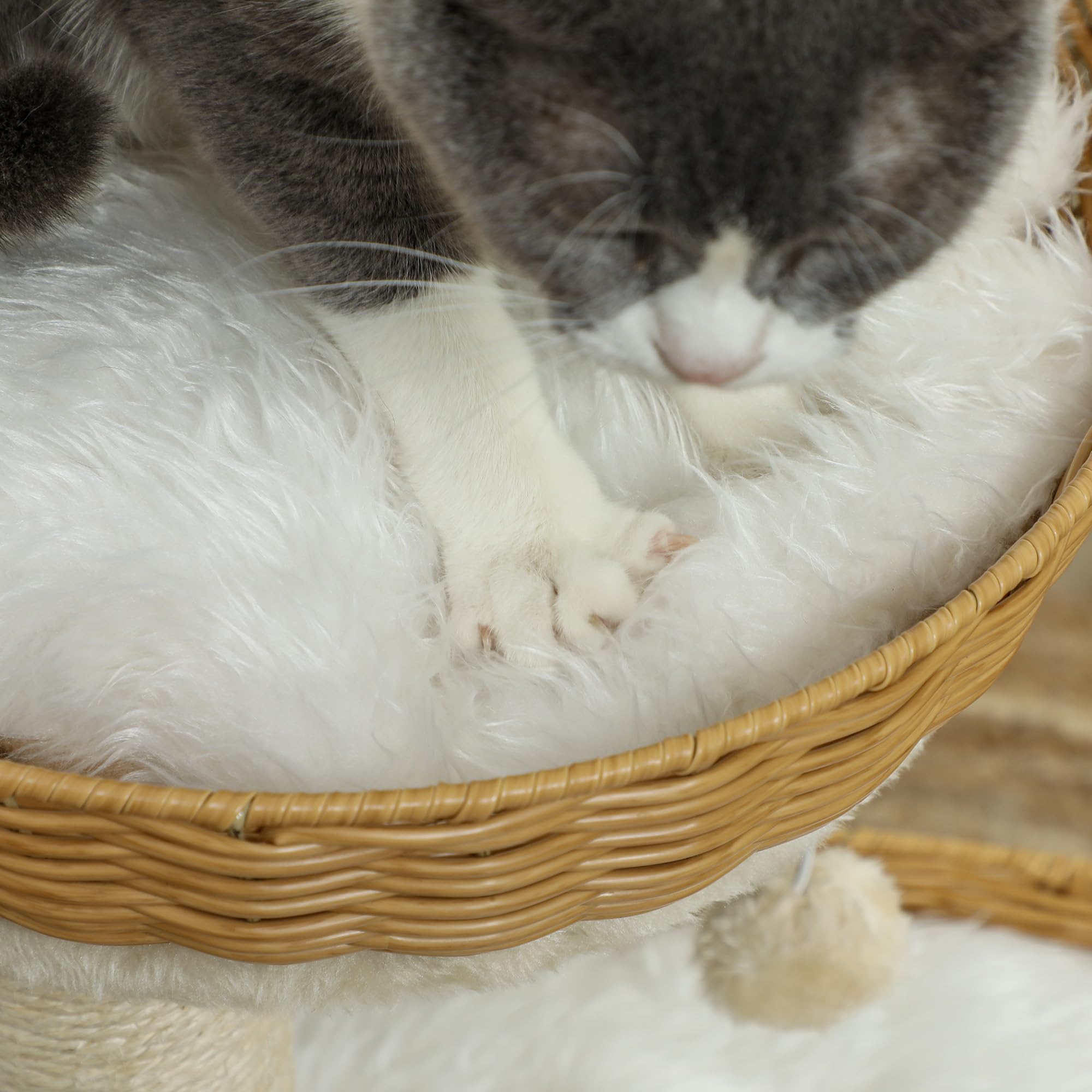 PawHut Kratzbaum, Kletterbaum, Höhe 75,5 cm, mit Zwei Katzenbetten aus Rattan, Kratzstangen, waschbaren Kissen, Spielzeugball, Beige
