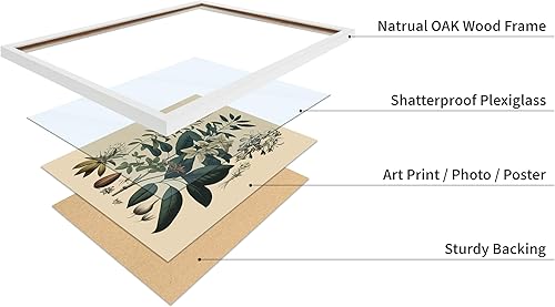 Miniatura 98 de Poster Master Póster vintage de orquídea, estampado de flores retro, arte de pared de plantas exóticas, arte botánico, regalo para hombres y