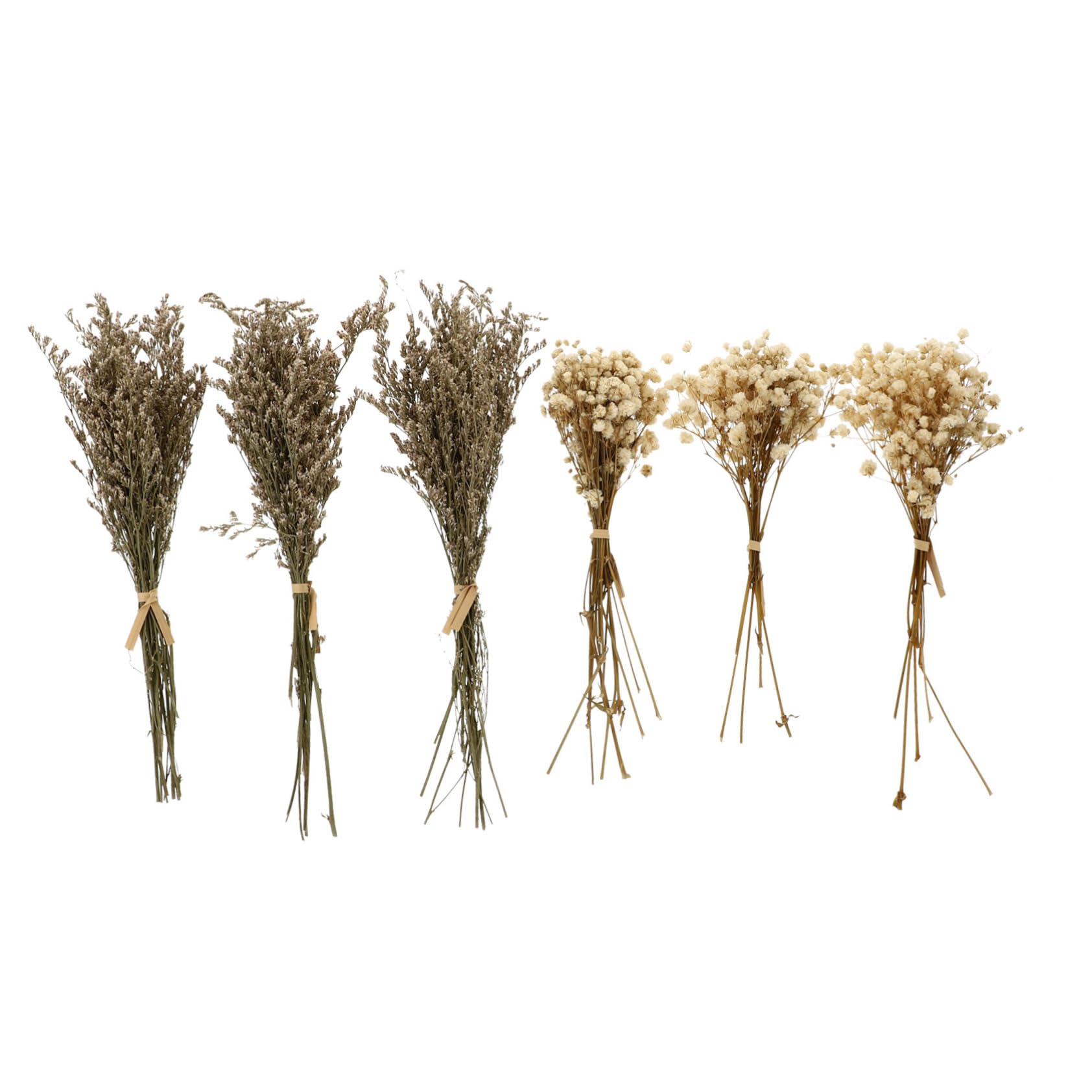 Alipis Lot De 5 Bouquets De Fleurs Séchées pour Salon 6 Pièces X 5 Couleur Aléatoire