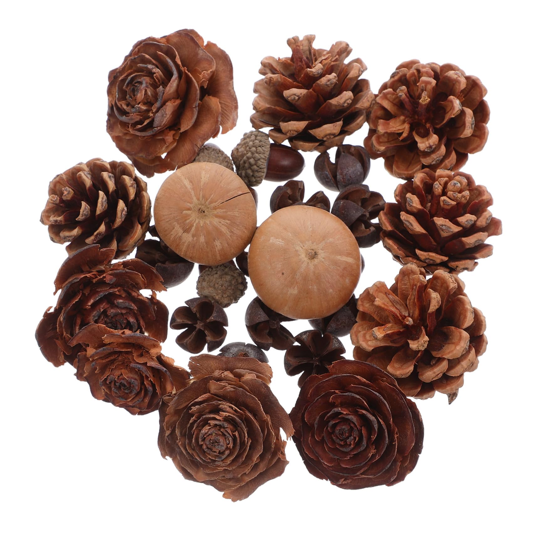 Gatuida Piñas Decorativas Naturales Tallo Mini Piñas para Manualidades para Decoración de Otoño Adornos Navideños para Rellenar Jarrones Centro de Mesa para Eventos de Temporada