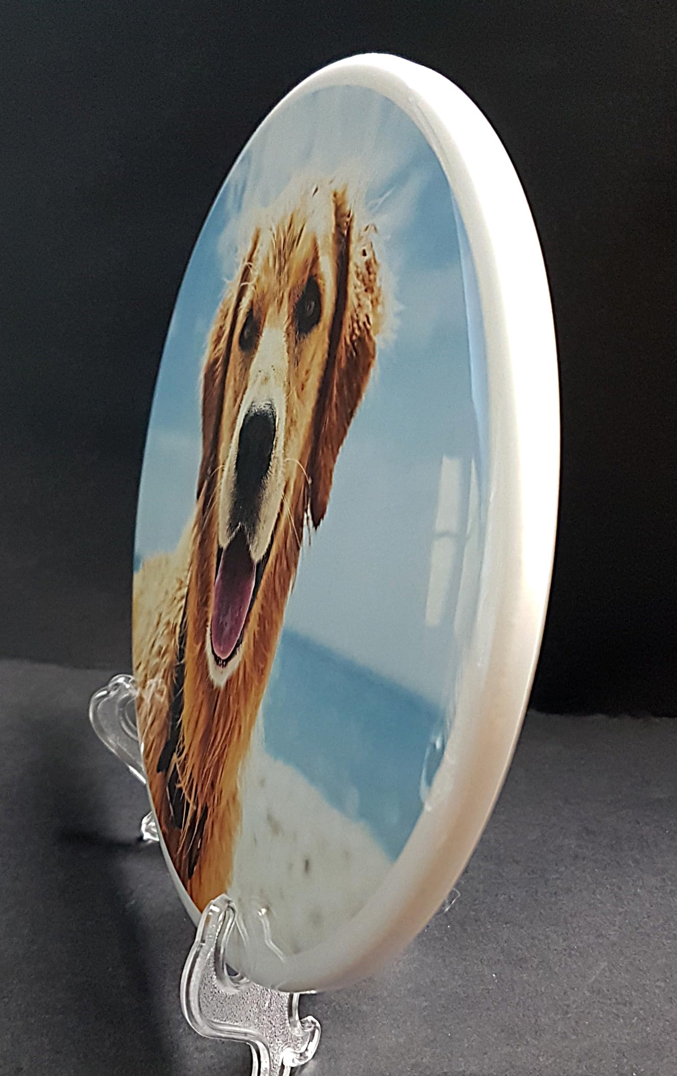 Fotoceramica Lapide Indelebile, Made in Italy - Foto Commemorativa Cotta a 900° su Porcellana di Alta Qualità - Accessori Funebri, Stampa Personalizzata Ceramica