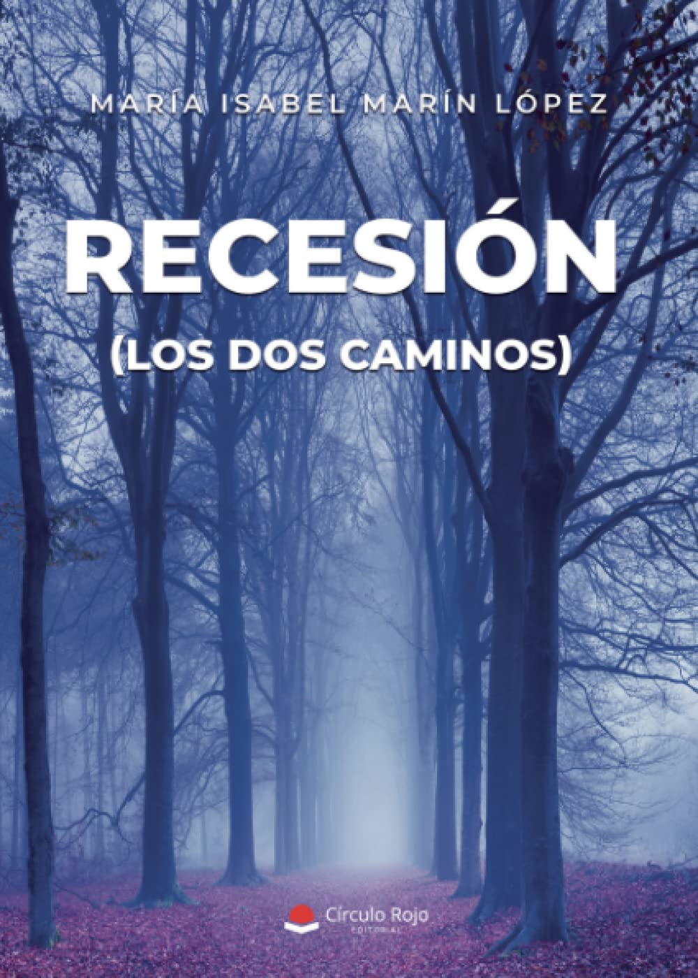RECESIÓN (los dos caminos) (Spanish Edition)