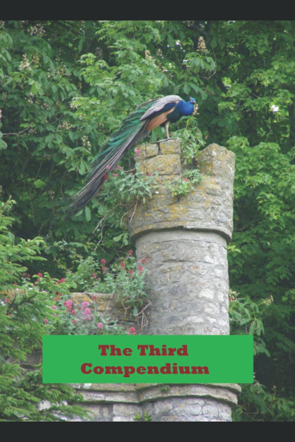 The Third Compendium