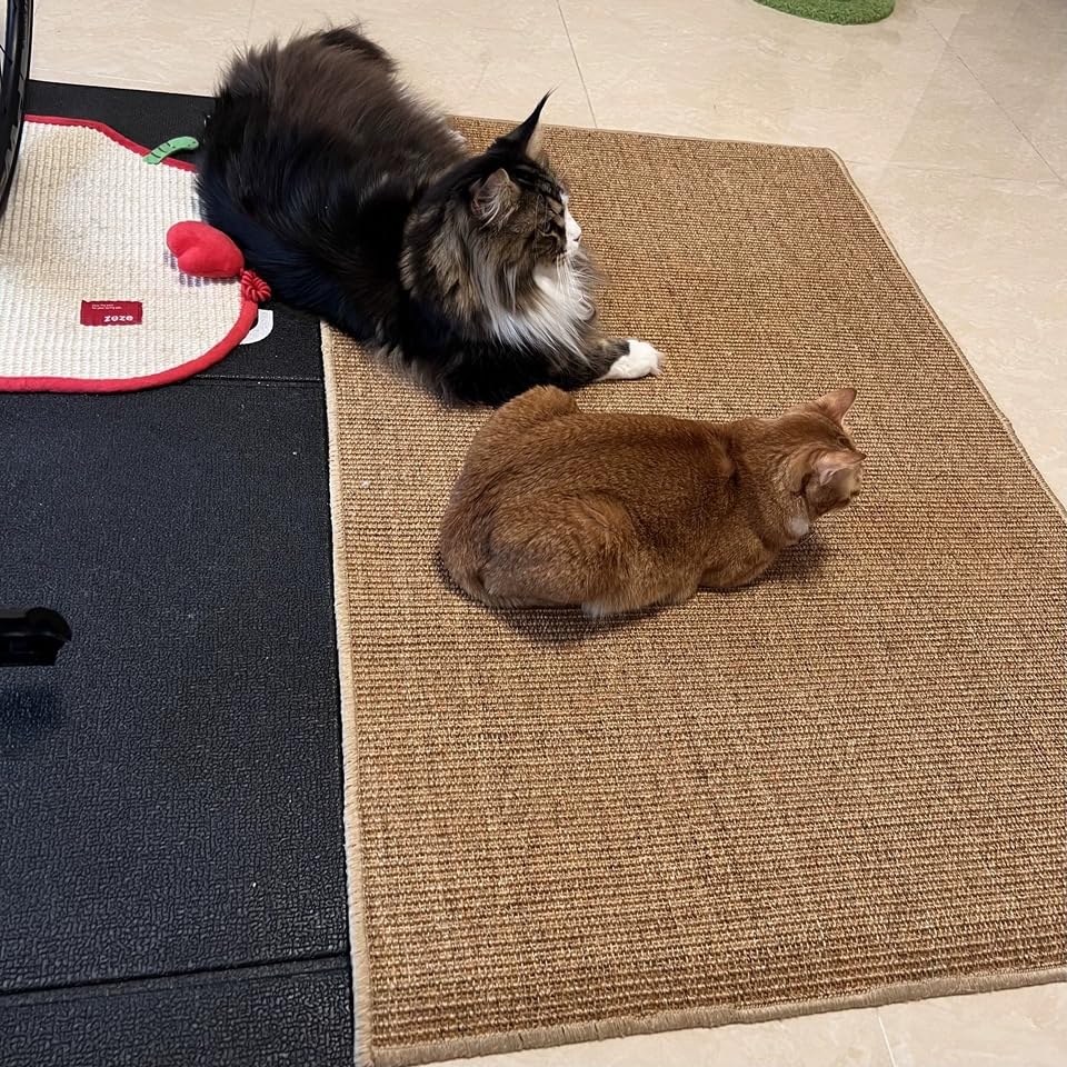 Tapis en sisal naturel fait main haute durabilité finition D1