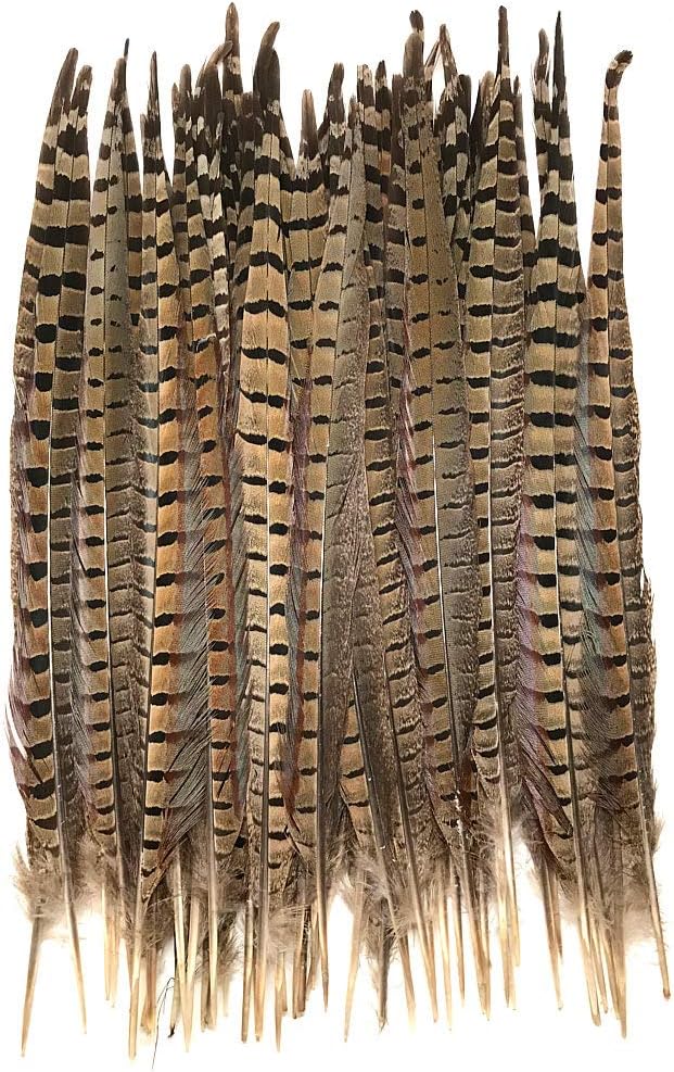 American Feathers Ringneck Pheasant Tail Feathers 14-16" - per 50 Feathers
