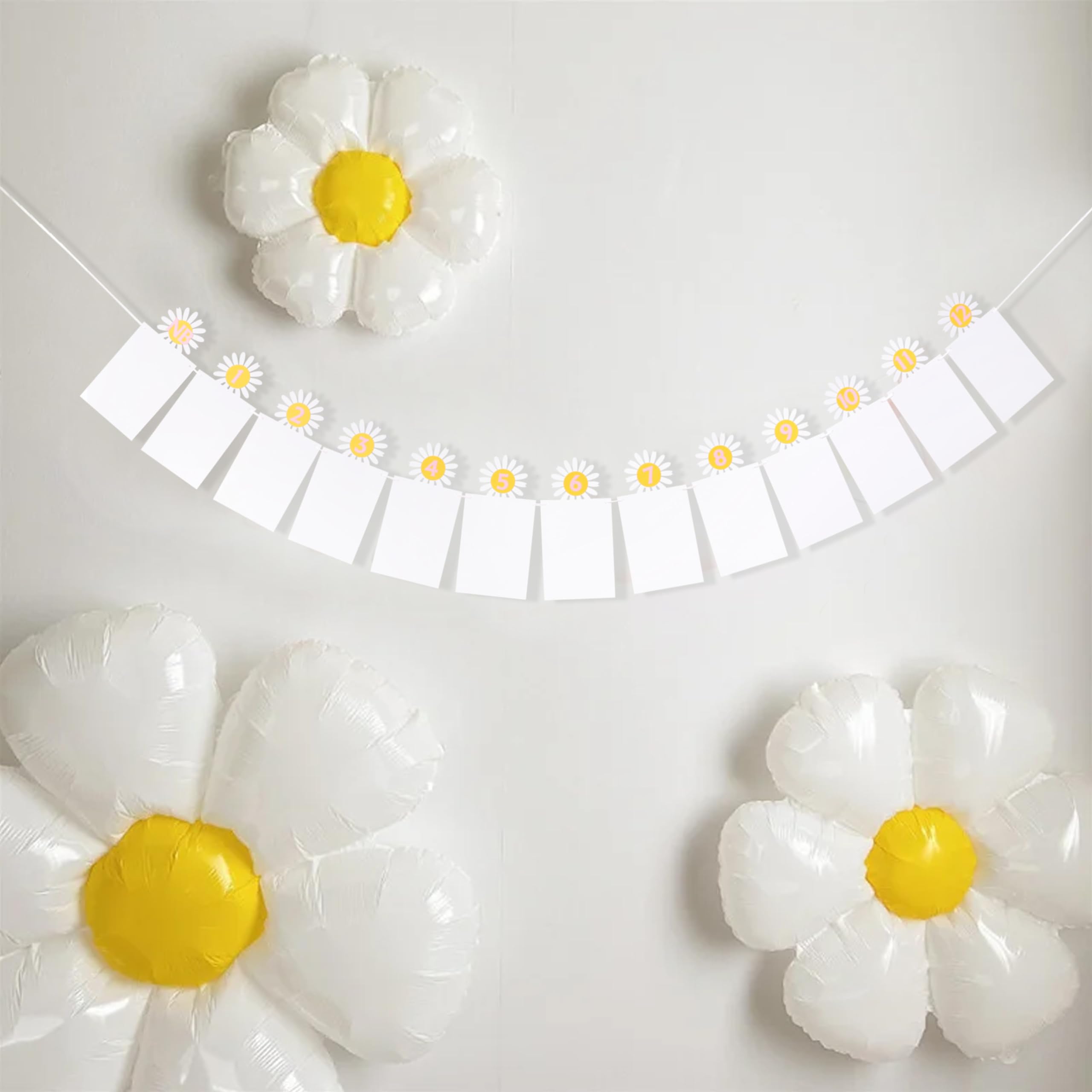 Daisy 12 Monthly Photo Banner - First Birthday Decor, Groovy One Milestone Banner - View #4