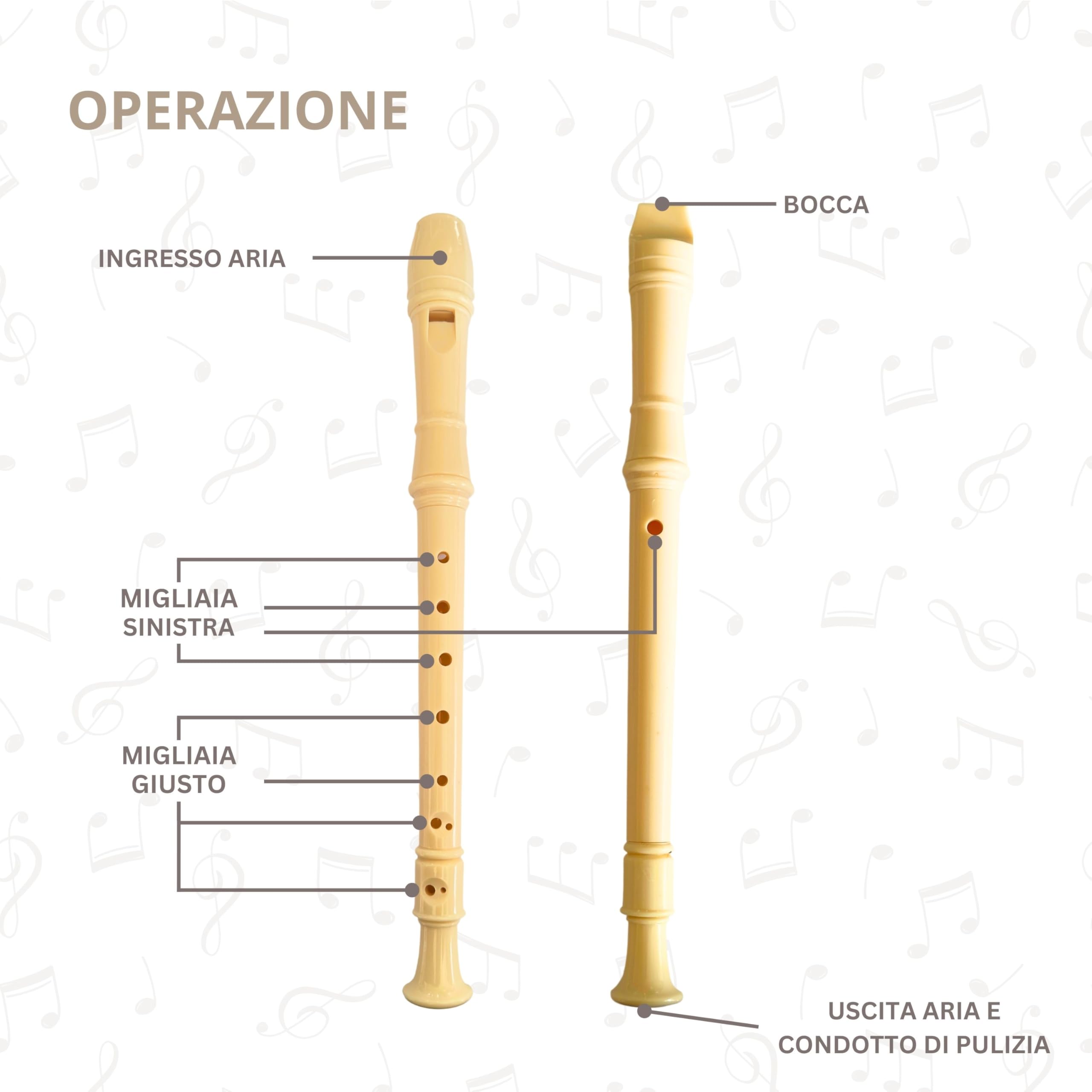 Flauto Dolce Soprano con Pulitore, Tavola delle Dita e Custodia di Colore Verde. Per Principianti e Bambini
