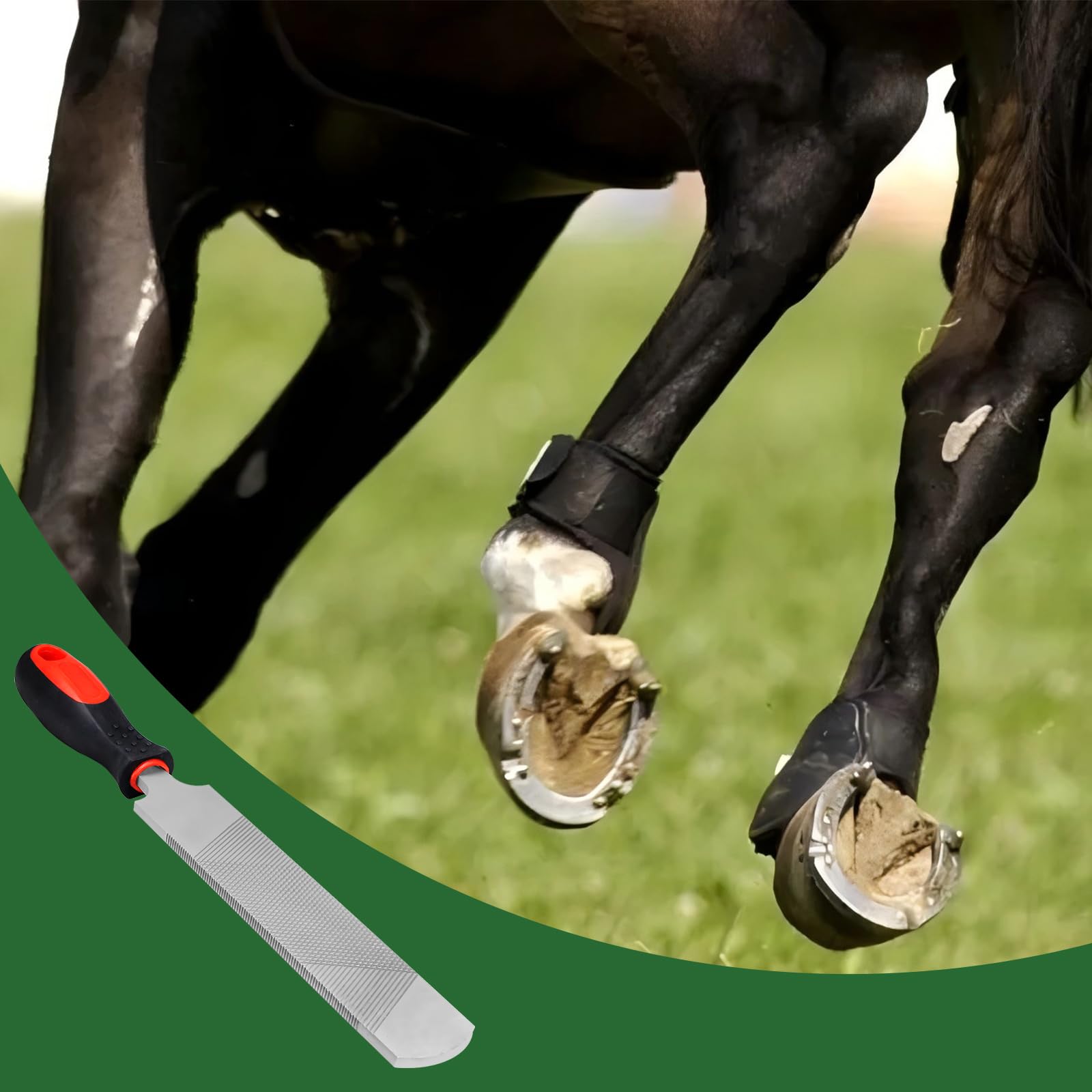 12 Inch Hoof Rasp - Carbon Steel Farrier File -6 12 Inch Hoof Rasp - Carbon Steel Farrier File -6