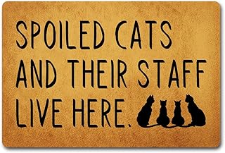 Funny Welcome Doormat Entrance Way Decor Indoor Welcome Mat 15.9