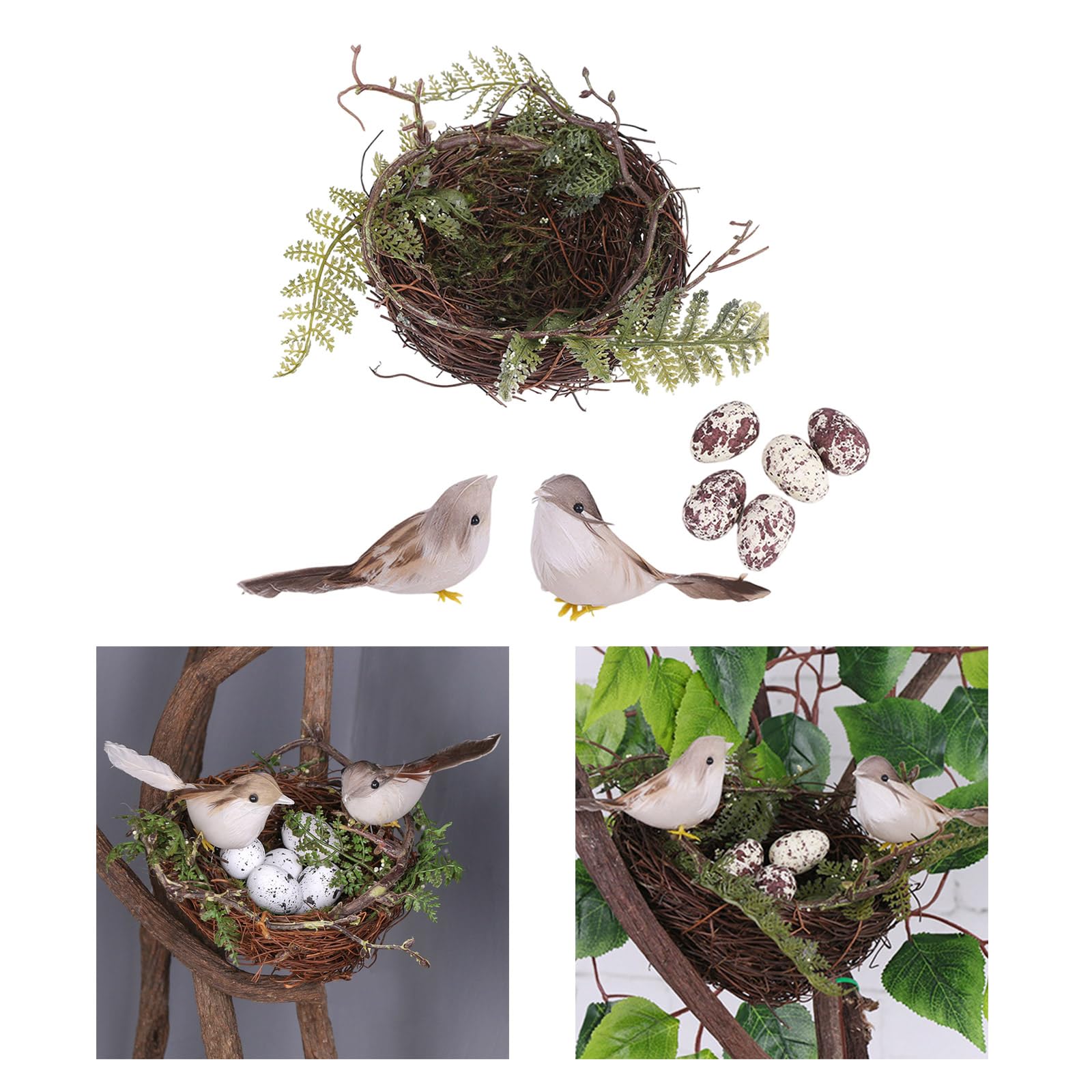 Amazon.co.jp: 庭のための鳥と卵の飾り鳥と卵の飾りの鳥の巣窓枠