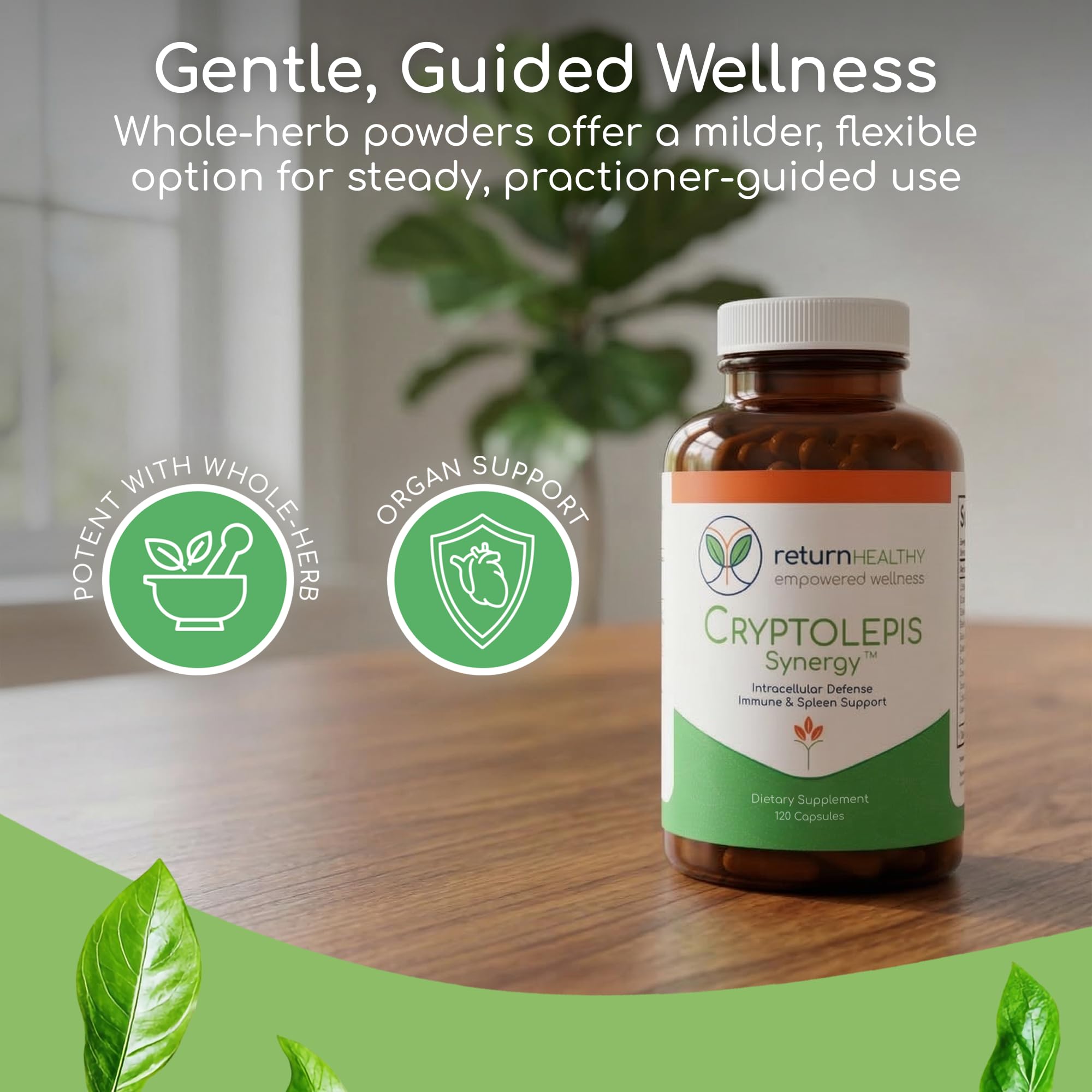 Cryptolepis Synergy, Immune Support Vitamins, Immune System Booster for Adults, Liver, Lymphatic, & Immune Support Supplement, Supports Lyme & Natural Parasite Defense, 120 Capsules — Amazon image 3