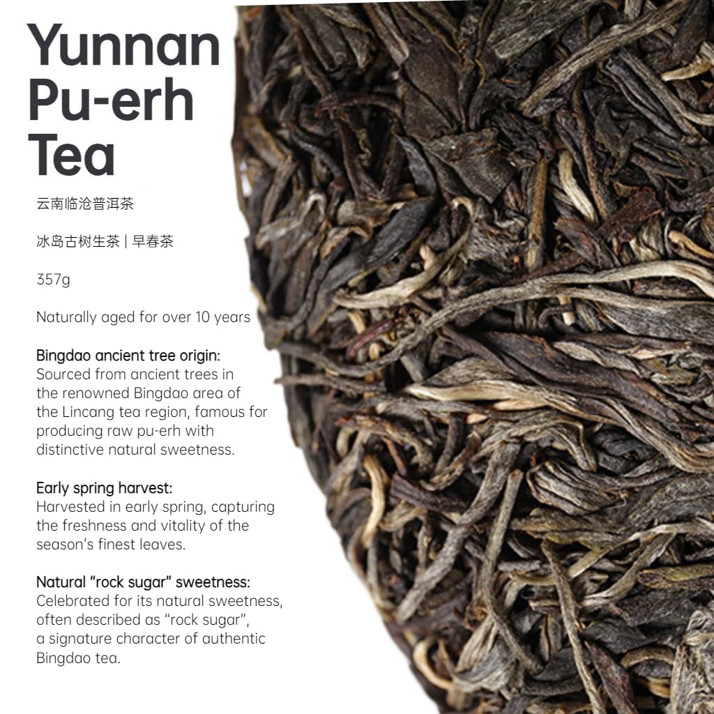 Tè Puerh Crudo Albero Antico Bingdao Yunnan 357g | Dolce E Persistente