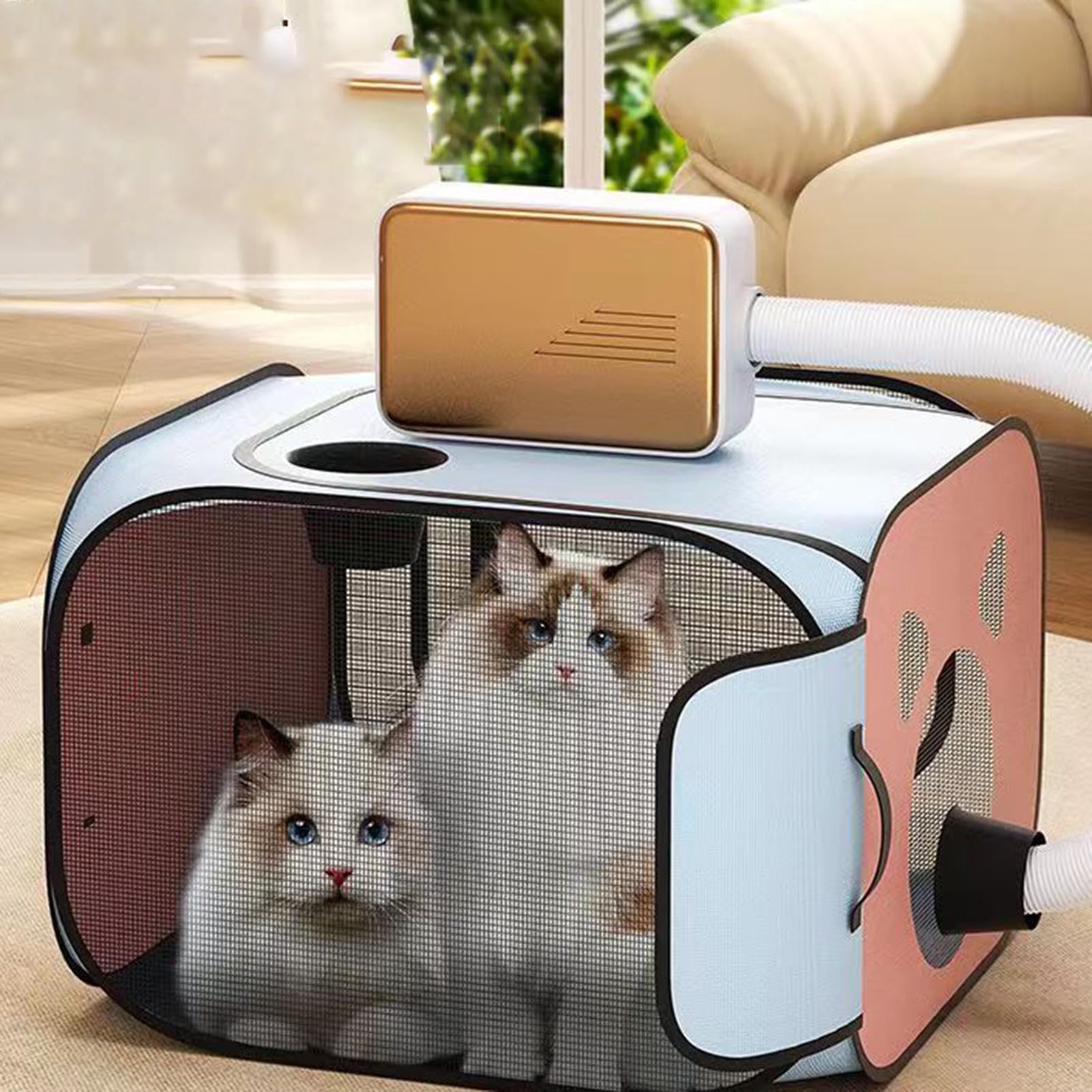Boîte de séchage pour Animaux de Compagnie, séchoir de toilettage pour Chiens, boîte sèche Pliable Portable pour Chiens et Chats, boîte de séchage Anti-Poils Volants pour Chats