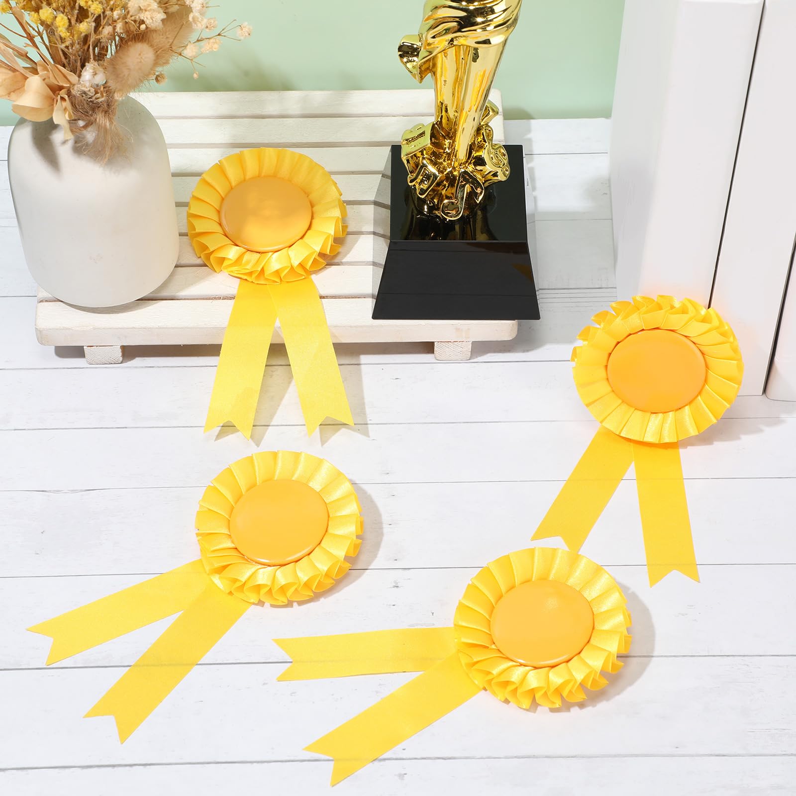 Contest Entry Ribbon Snapklik.com : 12 Pieces Blank Award Ribbon Prize 1st Place Rosette ...