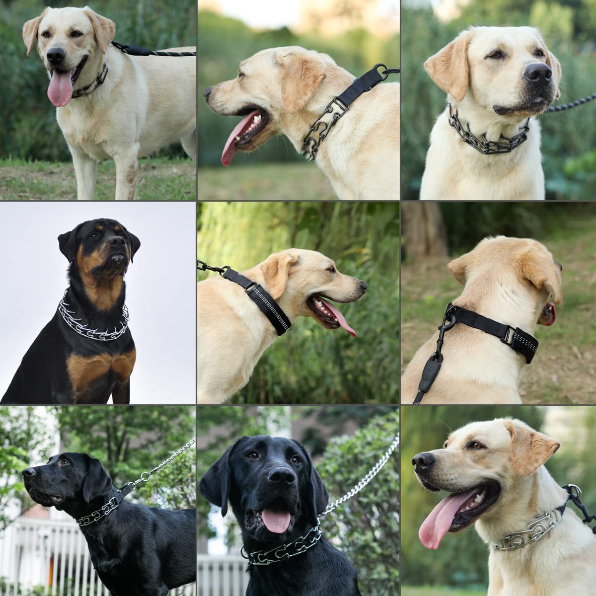 Collier de Dressage à Griffes pour Chien, Collier de chaîne réglable avec Embouts de Confort et Boutons-Pression à dégagement Rapide (XL)