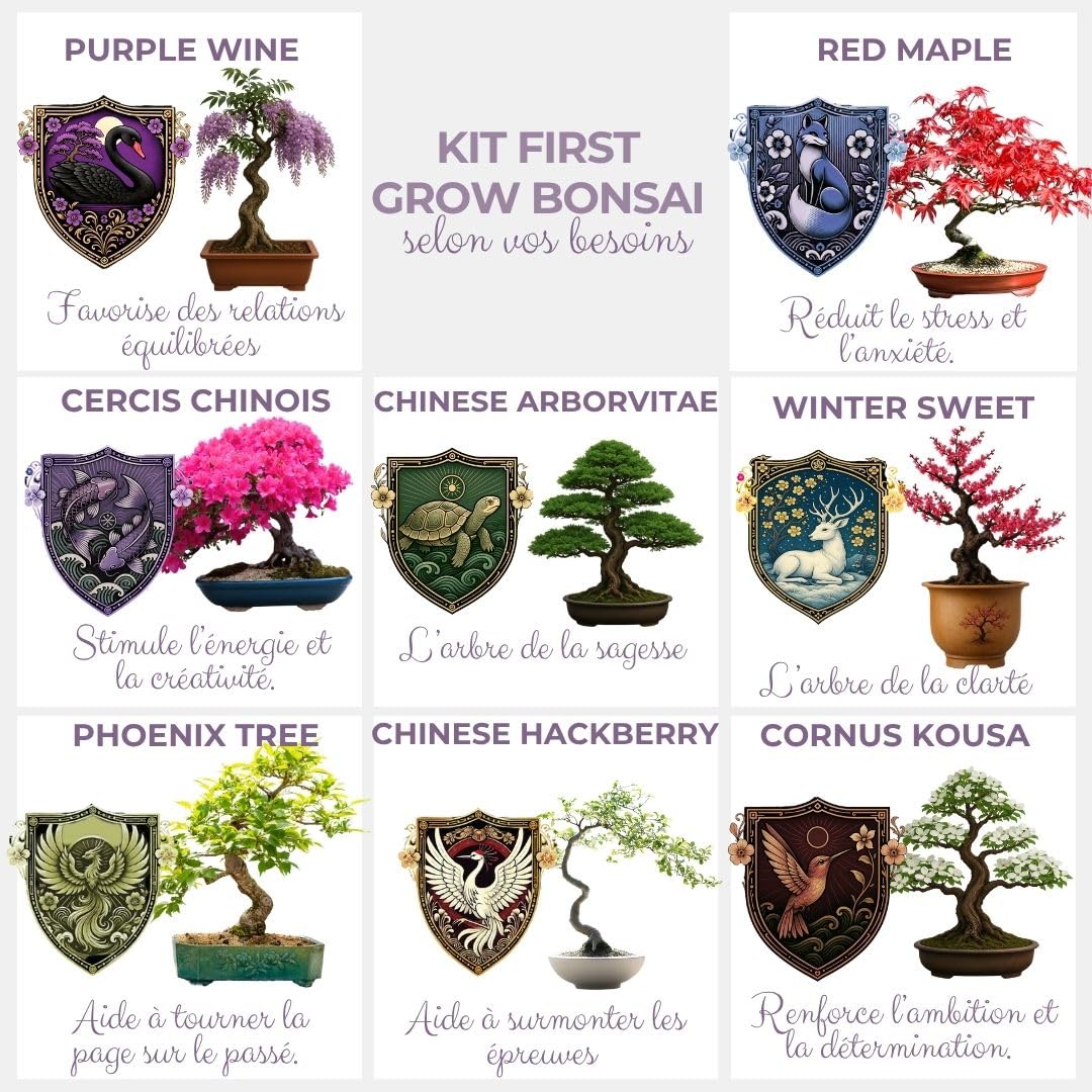 CULTIVEA® Kit First Bonsai – Kit de première culture de Bonsaï avec Graines & Accessoires, Made In France