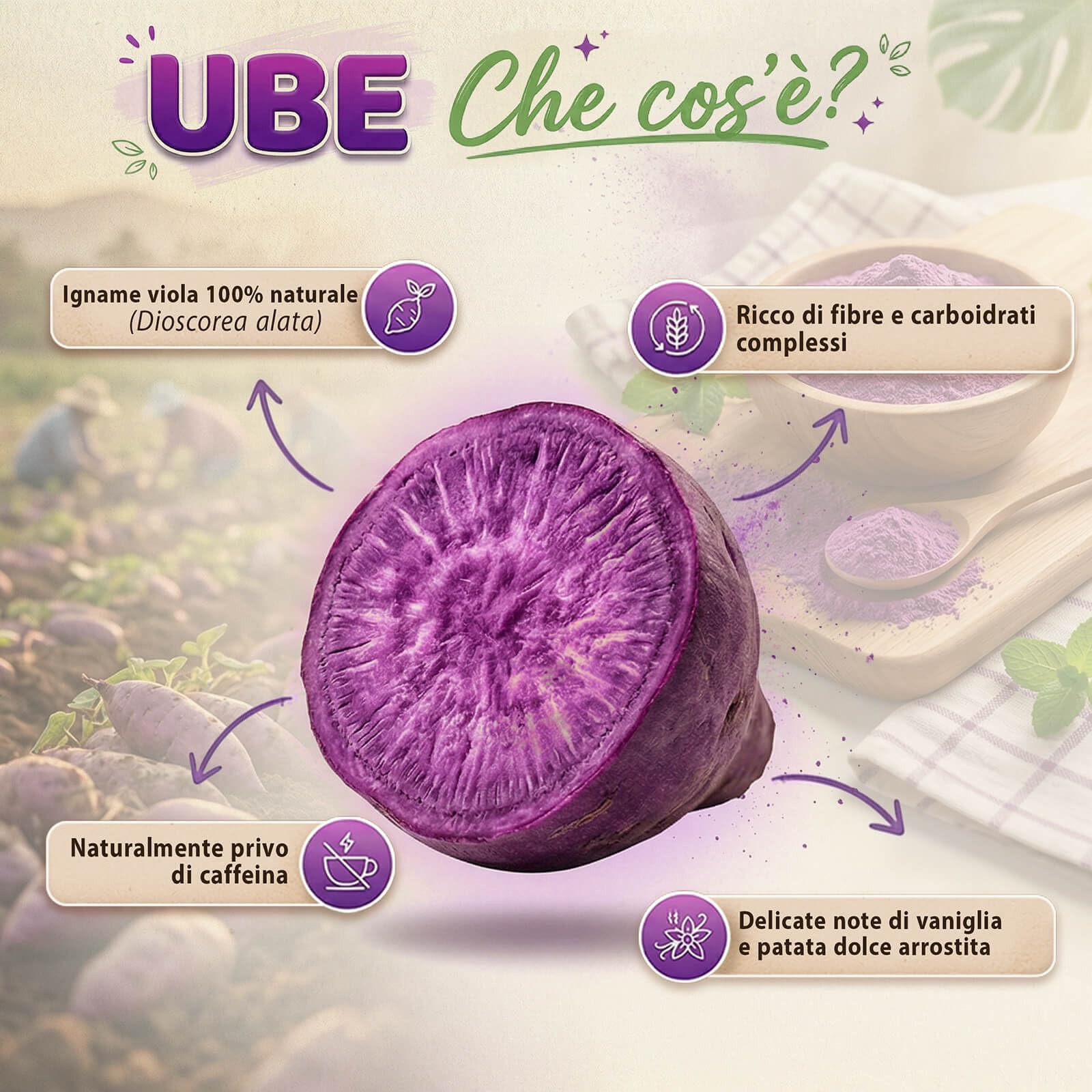 Mary Rose Purple Matcha Alternative Ube 50 g – 100% Ube in Polvere Viola Naturale, Senza Caffeina, Gusto Dolce e Cremoso, Ideale per Latte, Bevande e Dessert Creativi