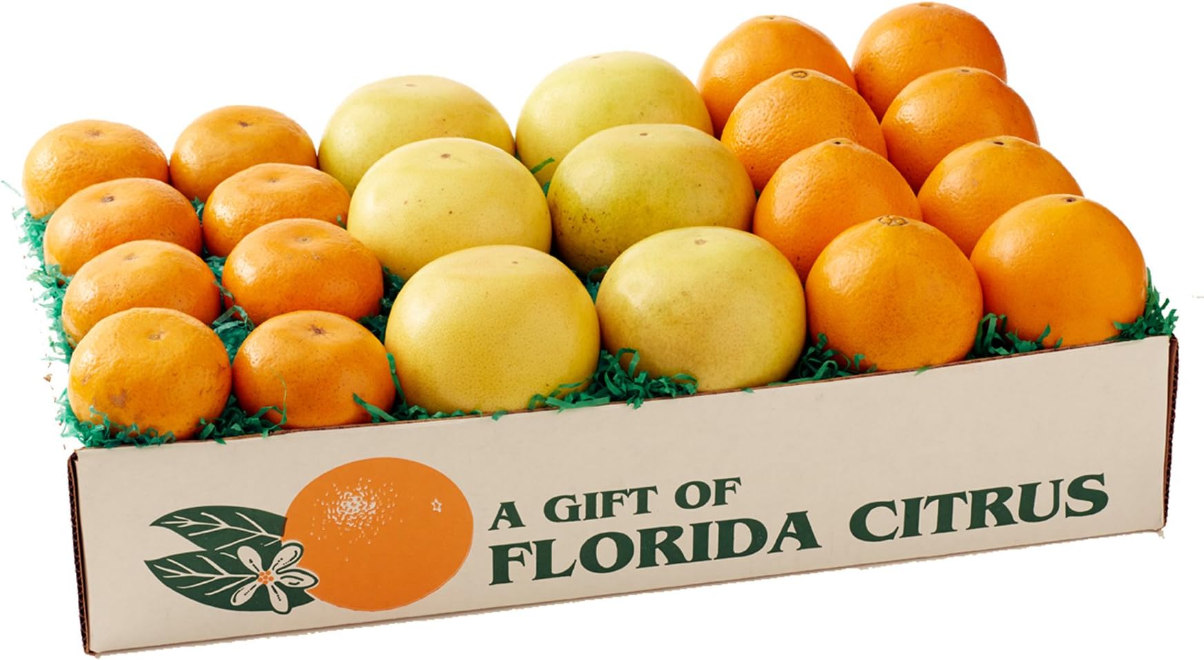 Florida Citrus Trio Florida Oranges, Red Grapefruit, Florida Tangerines