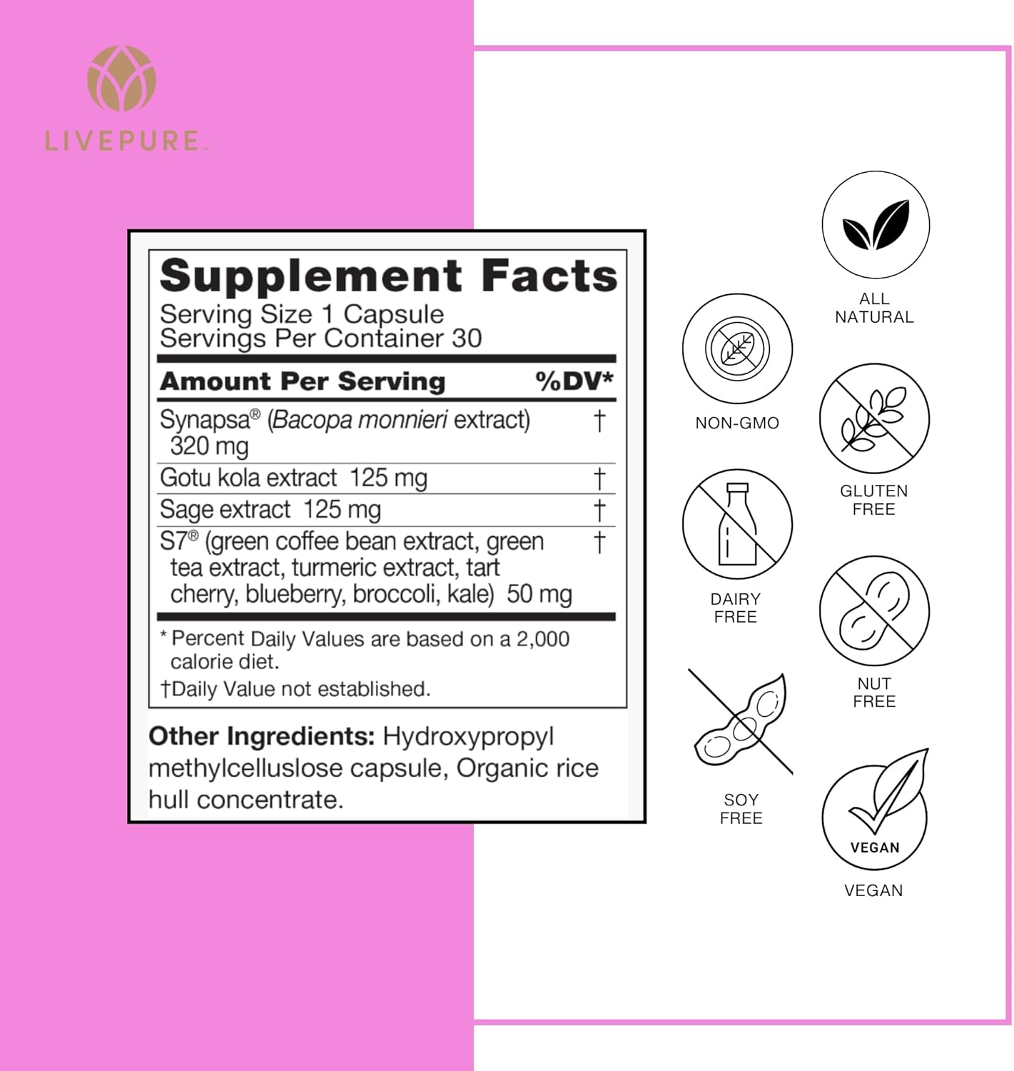 Pure Neuro Boost | 30 Capsules | Nootropic Supplement to Support Energy, Memory, and Focus | Supports Better Concentration & Healthy Brain Function | Natural Blend of Plant Extracts - Image 6