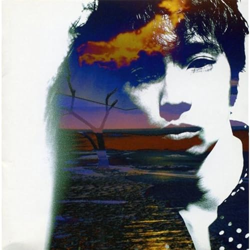 男よ それが正常だ!! / 斉藤和義