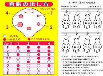 Amazon | オカリナ ocarina 陶器製6穴 大 中国陶笛（土笛）蓮荷A