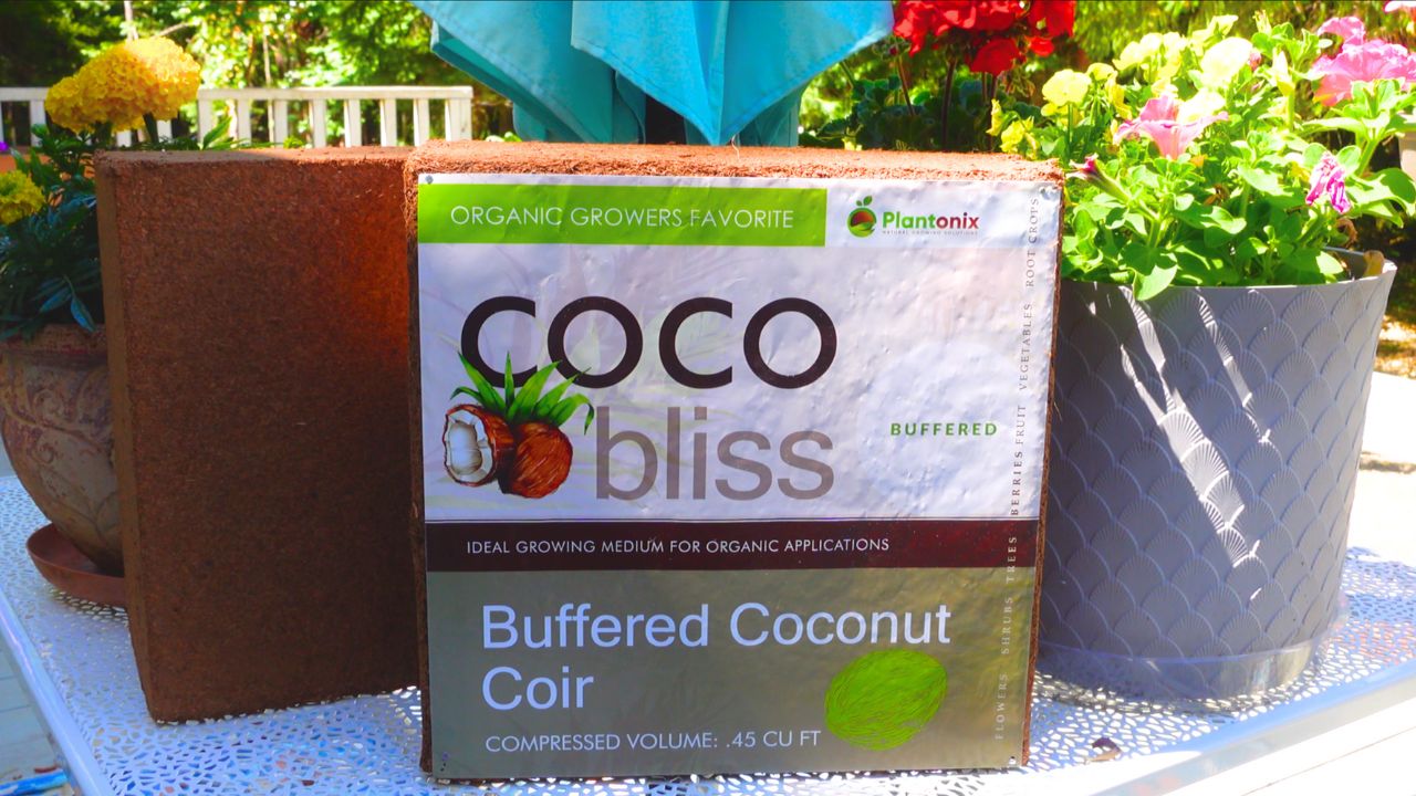 Coco⭐︎ Cocoa And The Time Machine (Minilop / 2020) ZX Spectrum Review