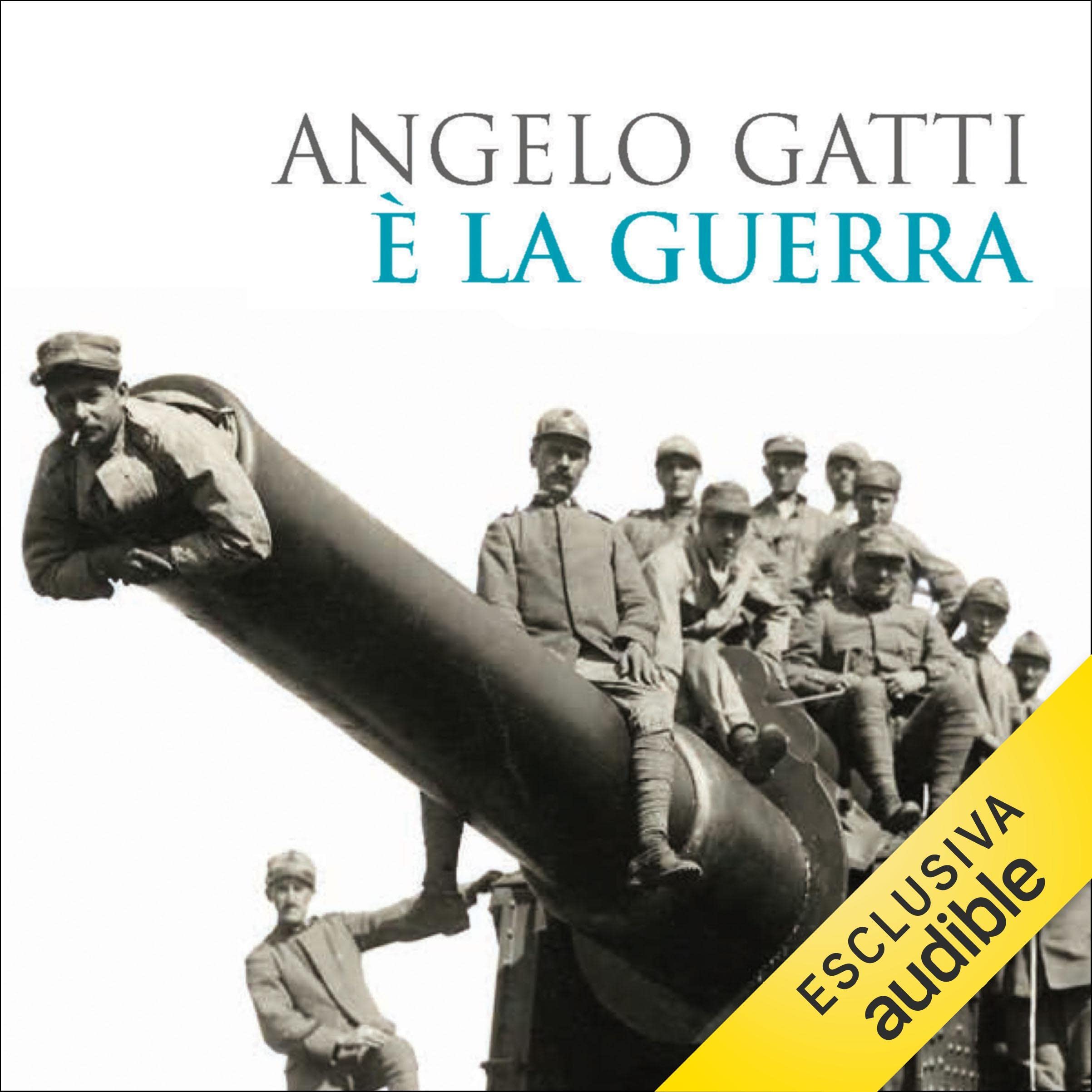 È la guerra: Diario Maggio - Agosto 1915