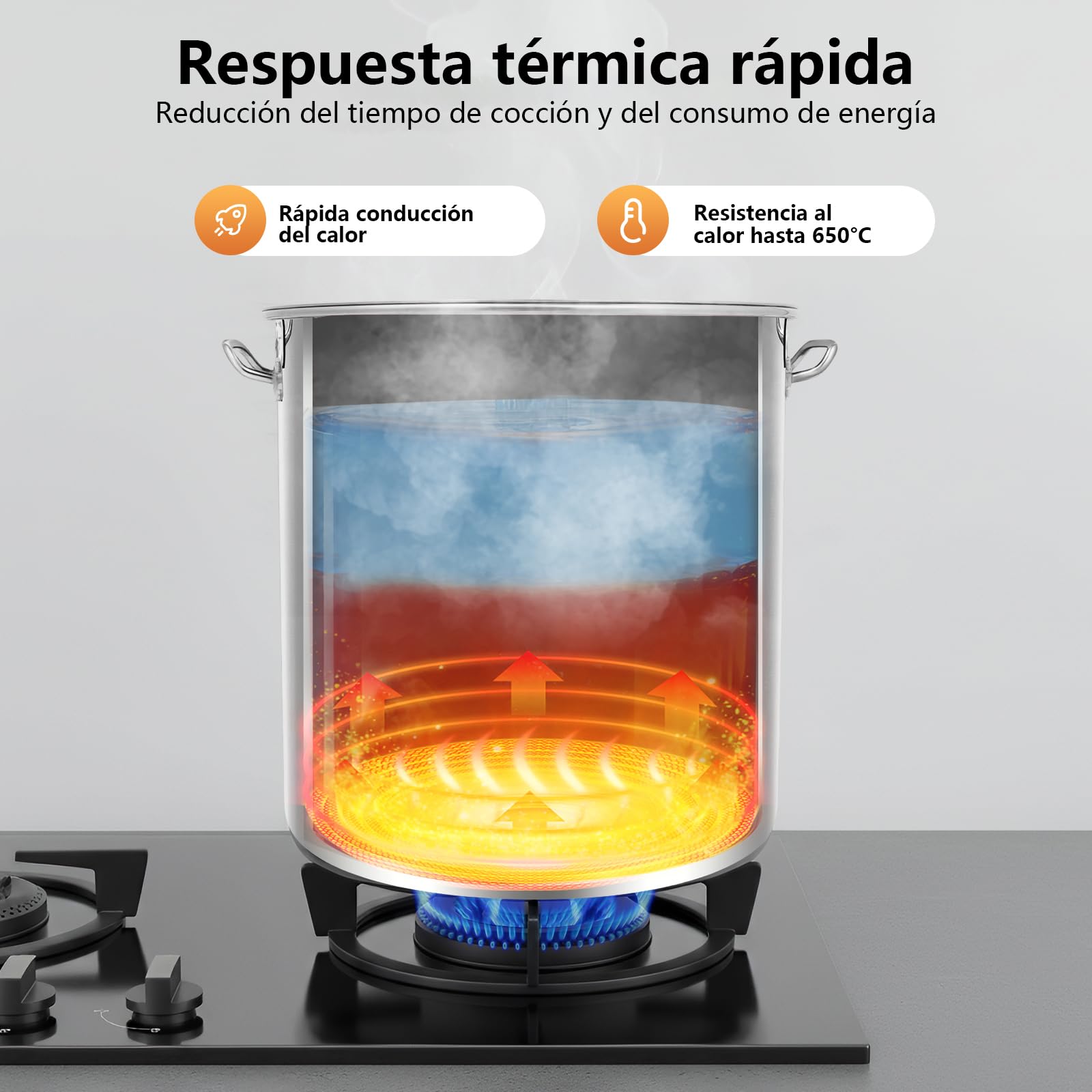 Olla grande de acero inoxidable de 70 L, con asas, diámetro de 45 cm, altura: 45 cm, tapa de fregadero, superficie pulida, olla grande de acero inoxidable para cocinas de gas, cocinas