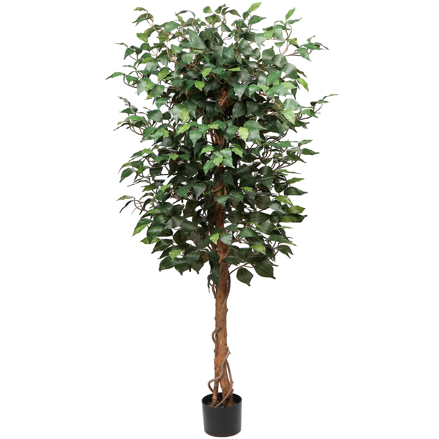 Ficus Benjamini Plante artificielle avec tronc en bois véritable Idéal pour la décoration intérieure Vert