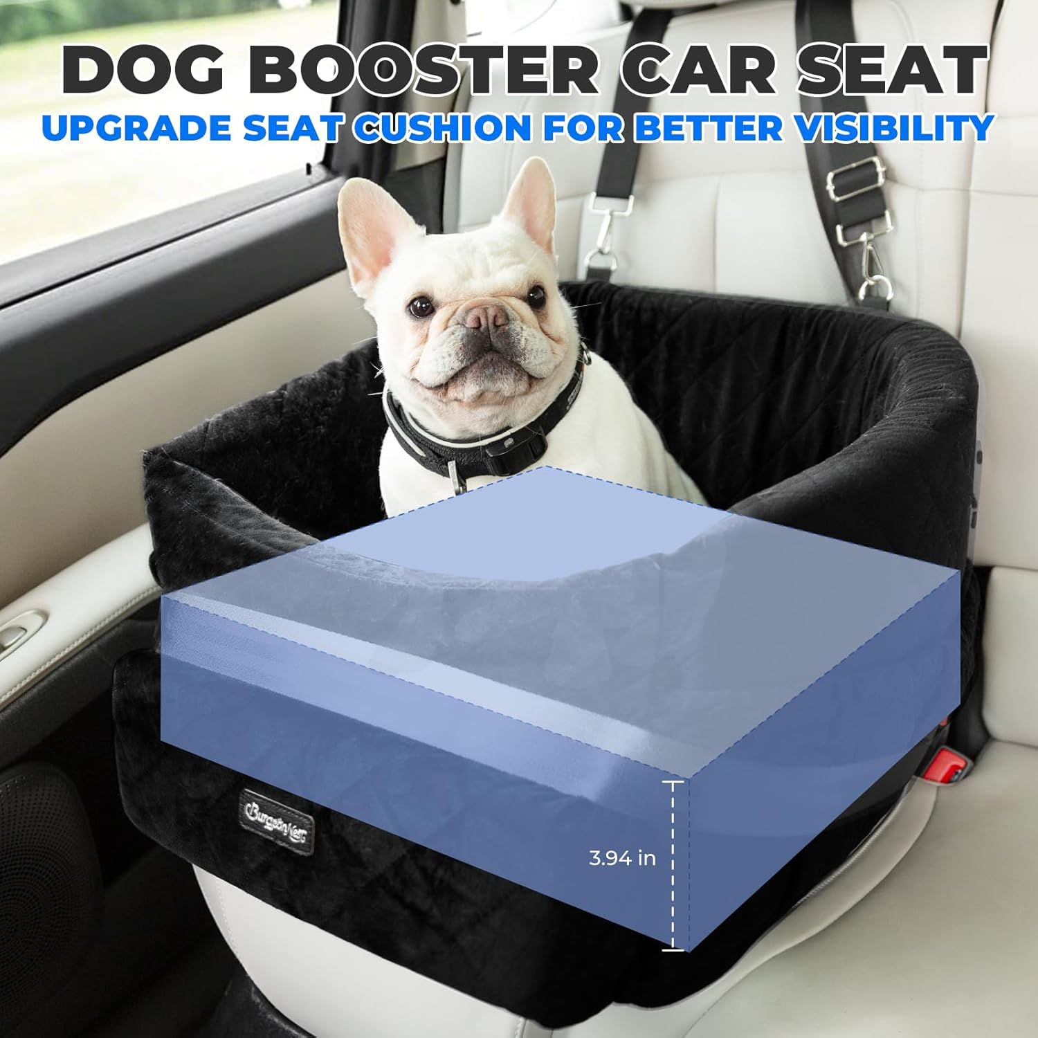Travel Safe: The Ultimate Dog Car Seat Review for Small Dogs