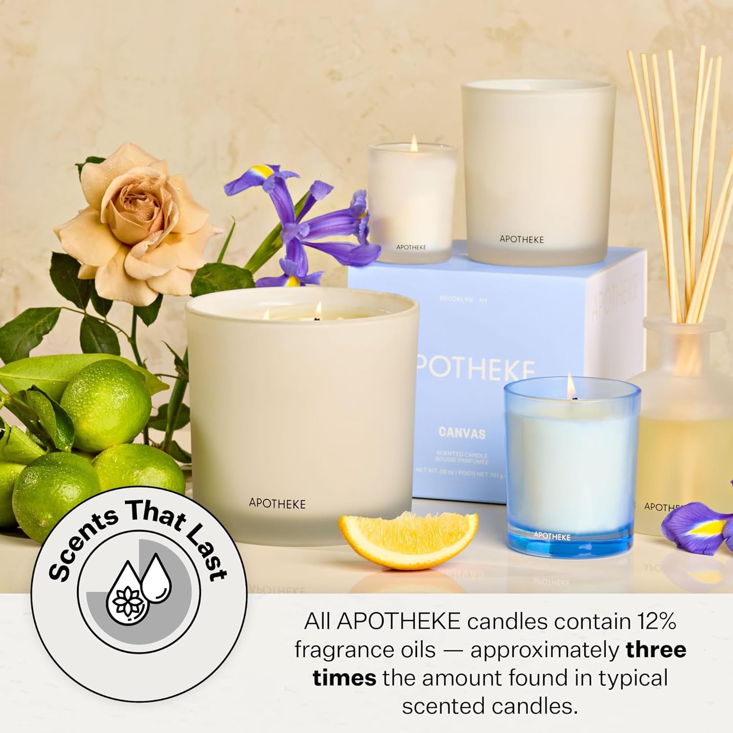 Apotheke Luxury Scented Candles for Home, Canvas - Petite Aromatherapy Jar Candle with Soy Wax Blend