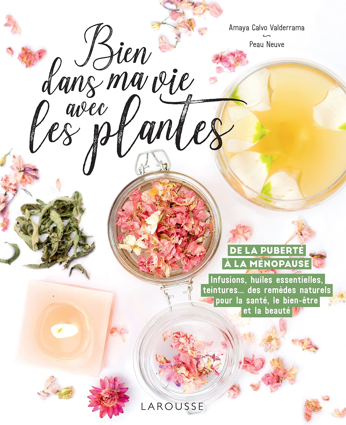 Bien dans ma vie avec les plantes: De la puberté à la ménopause