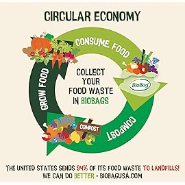 6-8 Gallon Compostable Trash Bags by BioBag, 45 Count, BPI Certified, Meets ASTM D6400 Standards, Made in USA, Medium Kitchen Bin Liners