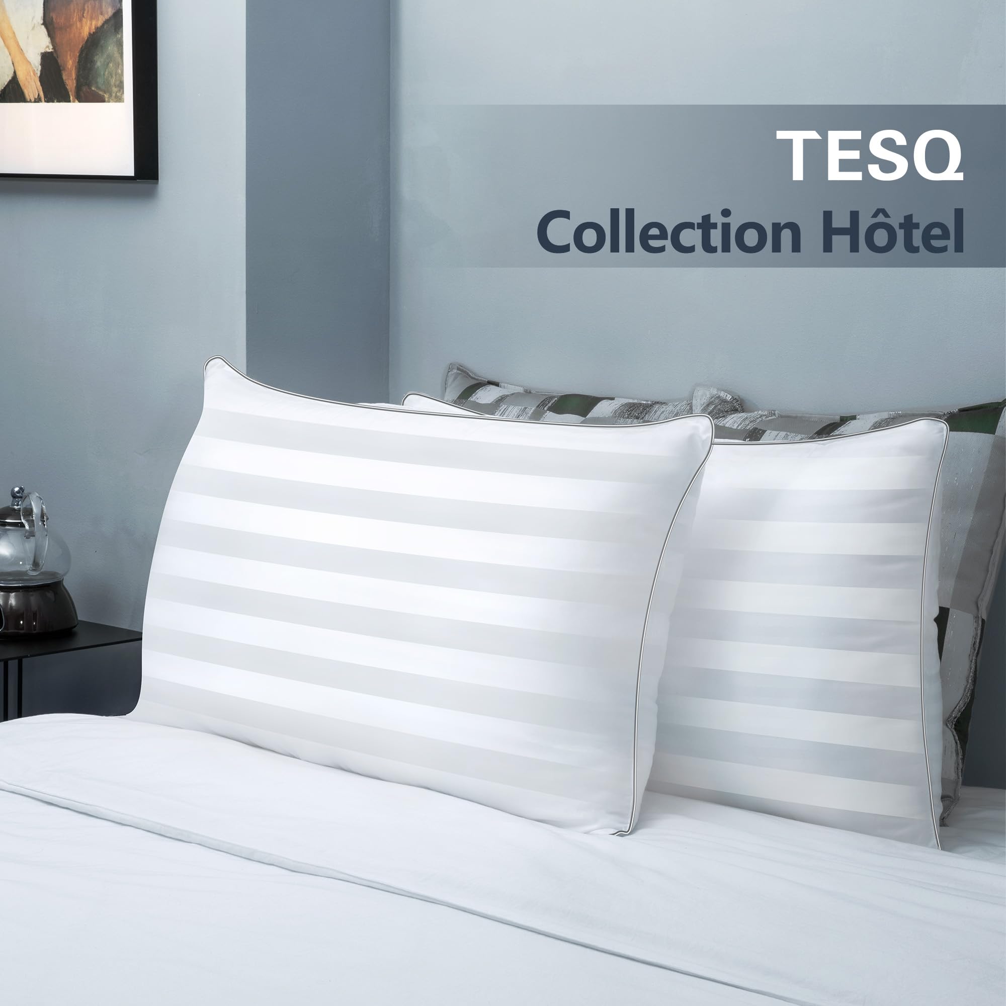 TESQ Oreiller 65x65 cm Lot de 2 Oreillers Confort Moelleux, Qualité Hôtelière de Luxe, Respirant et Hypoallergénique, Idéal pour Dormeurs sur Le Côté, Le Dos et Le Ventre, Lavable