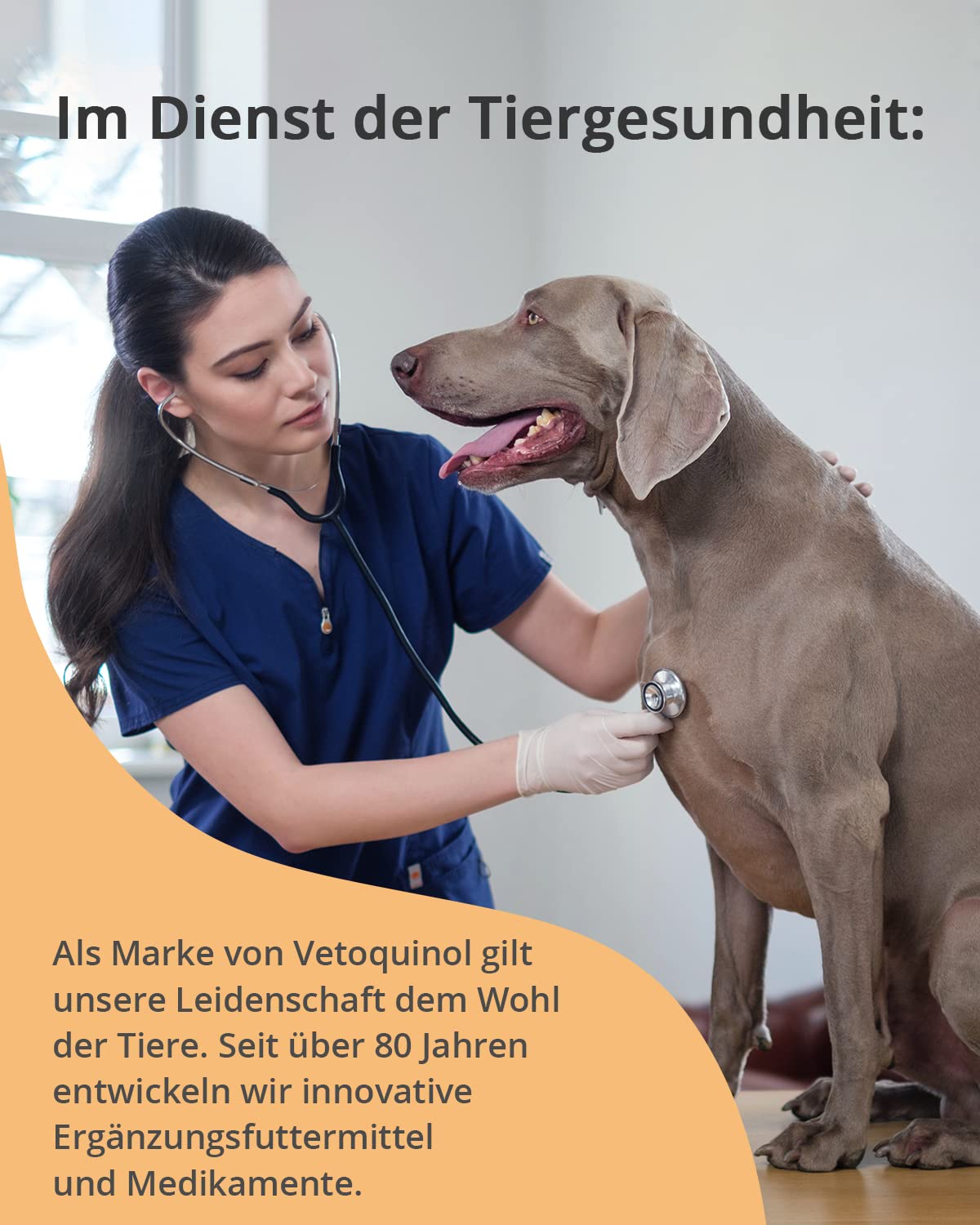 Vetoquinol - Caniviton Forte Plus Ergänzungsfuttermittel für Hunde und Katzen 90 Tabletten, 1er Pack (1 x 0.24 kilograms)