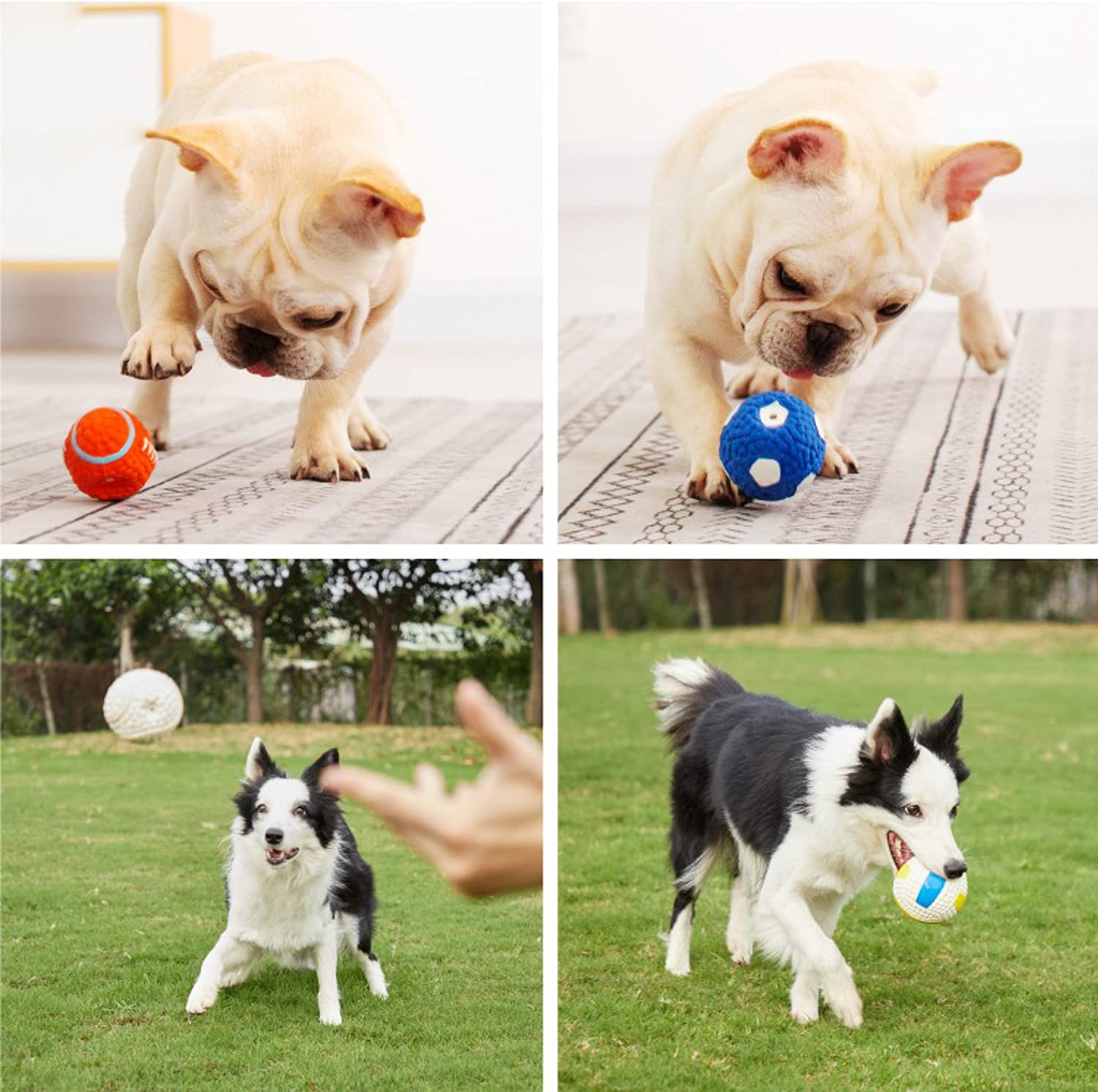 Jouet Couineur Pour Chien En Latex - Balle Interactive, Réduit L'Ennui, Intérieur/Extérieur