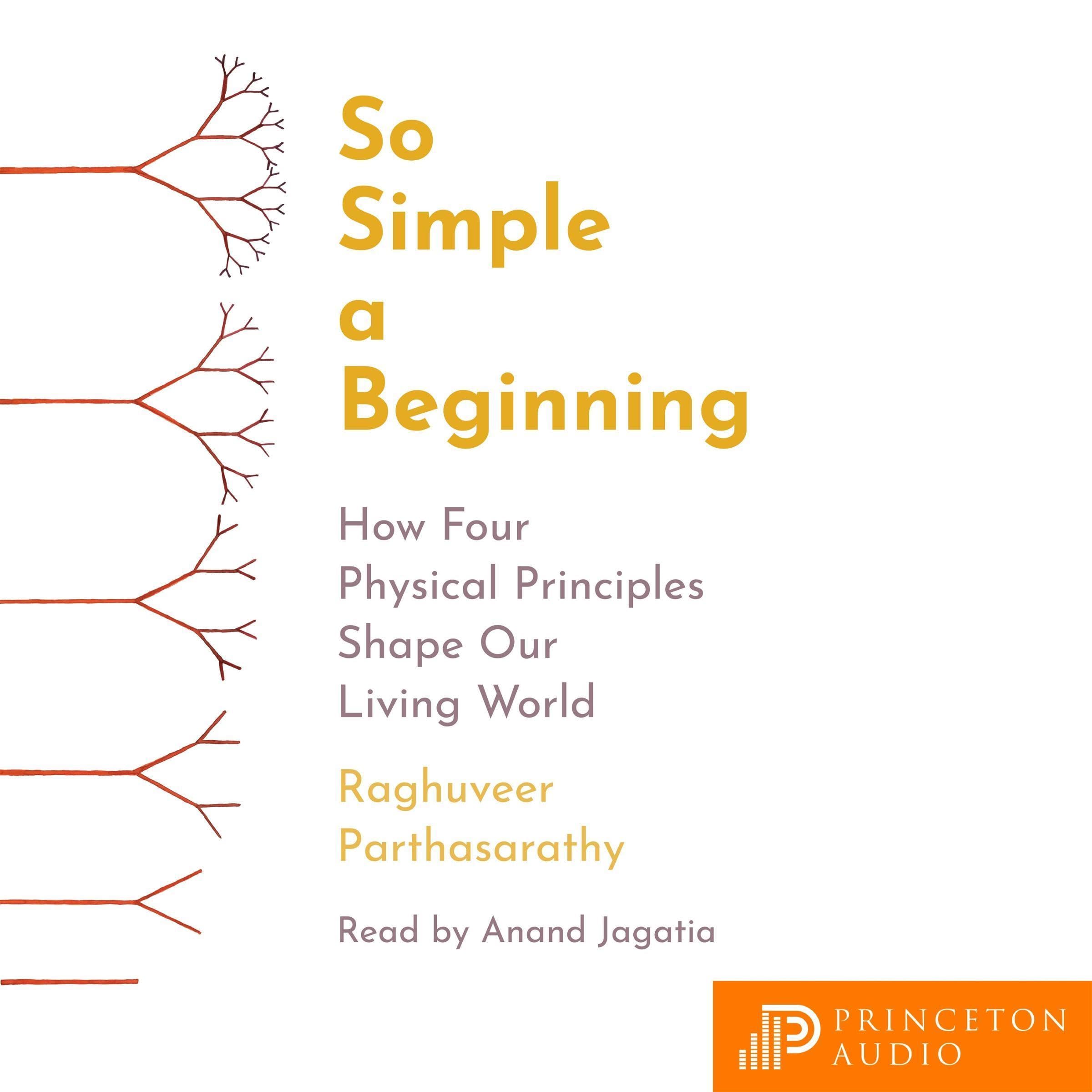 Cover art for So Simple a Beginning
