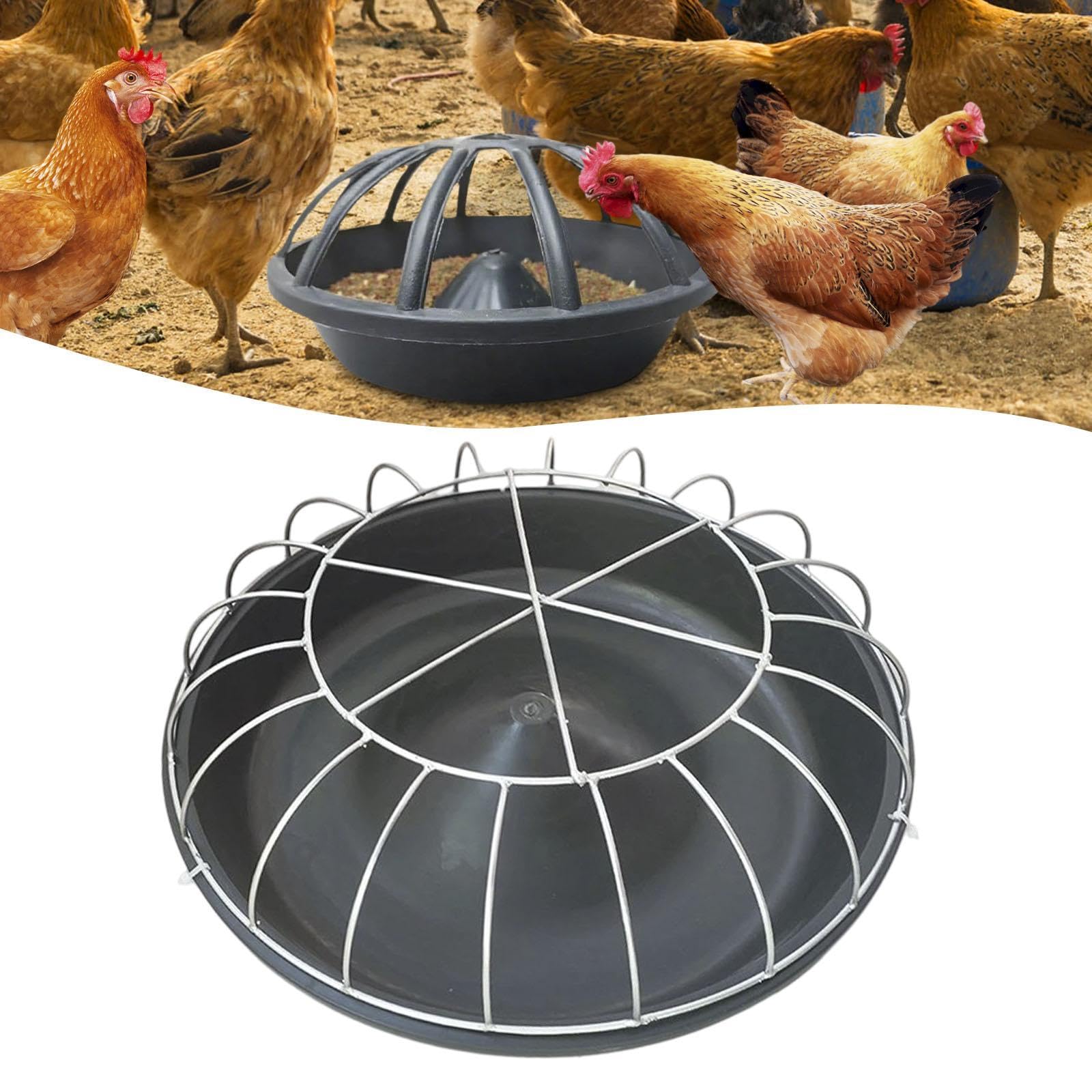 Comedero para Aves Alimentador Portátil Bandeja de Pienso Dispensador para Palomas con Acceso Fácil Y Reducción de Desperdicio Adecuado para Ahorrar, 20 Hoyos