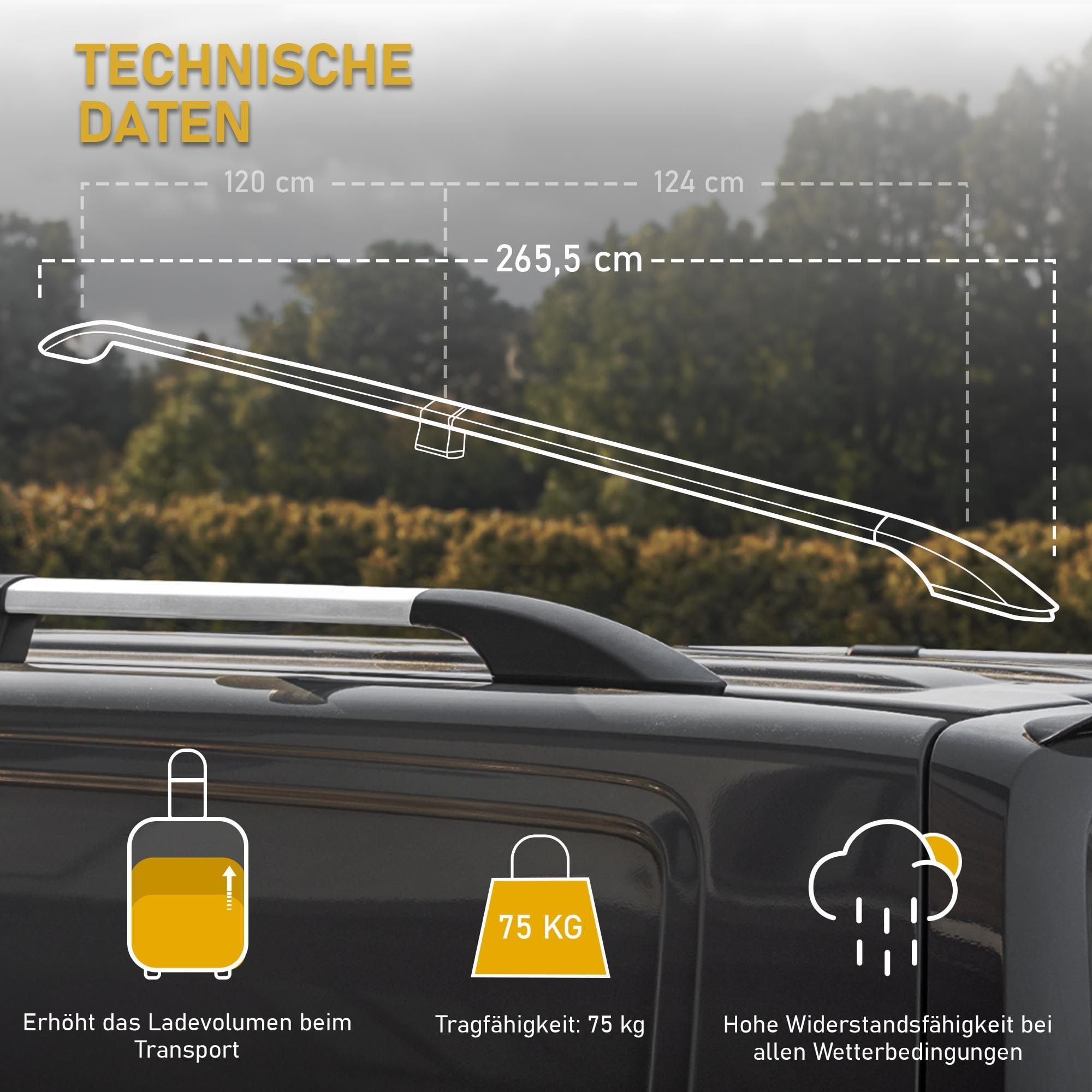 CHROMEMASTER | Dachrelinge Dachträger Kompatibel mit Ford Tourneo Custom L2 LANG 2012-2023; Geeignet zur Montage von Dachträgern, Dachboxen und Fahrradträgern | Einfache und Schnelle Montage | Alu