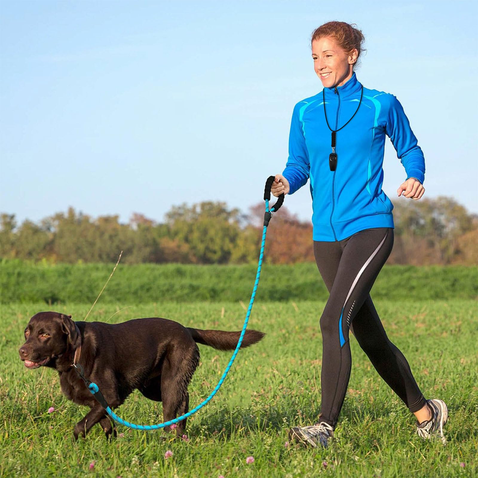 GIONAR 2Pcs Sifflet Chien Rappel, Sifflet Ultrason Chien, Double Mode 2 en 1 (clic et Souffle),- Plastique ABS et Anche en Acier Inoxydable, Sifflet pour Chien avec Cordon (Rouge et Noir)
