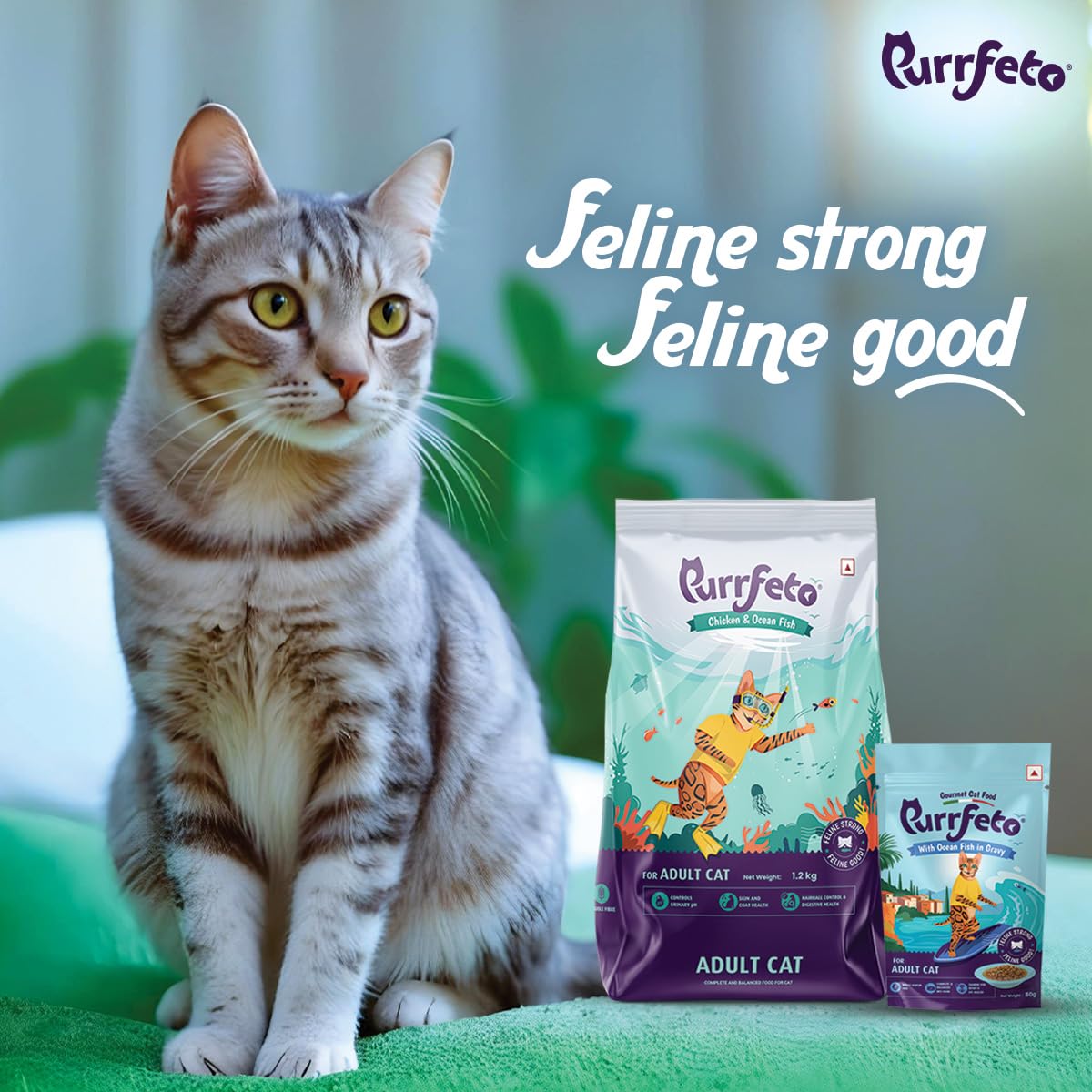 Purrfeto Adult Dry Cat Food, Chicken & Ocean Fish, 1.2 kg & Purrfeto Wet Cat Food with Ocean Fish in Gravy, Pack of 12 4