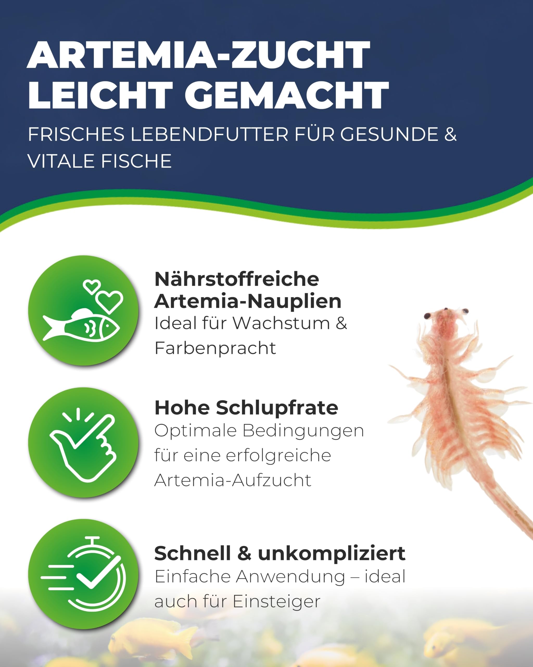 Hobby Artemia Incubator-Set