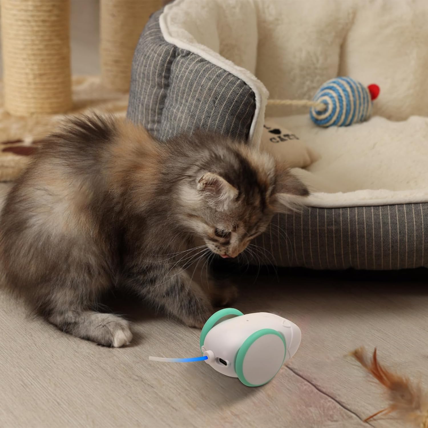 Toy Deals Robot Mouse Toy For Cats HEXBUG Mouse Robotic Cat Toy