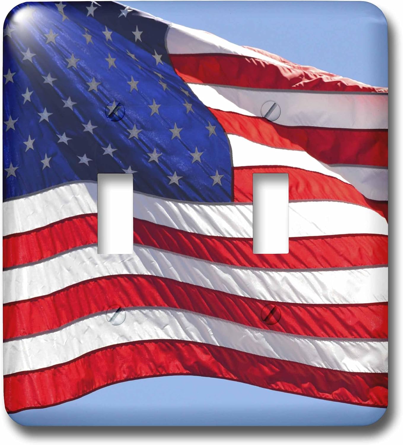 3dRose lsp_53611_1 American Flag Usa Patriotic Americana Light Switch Cover