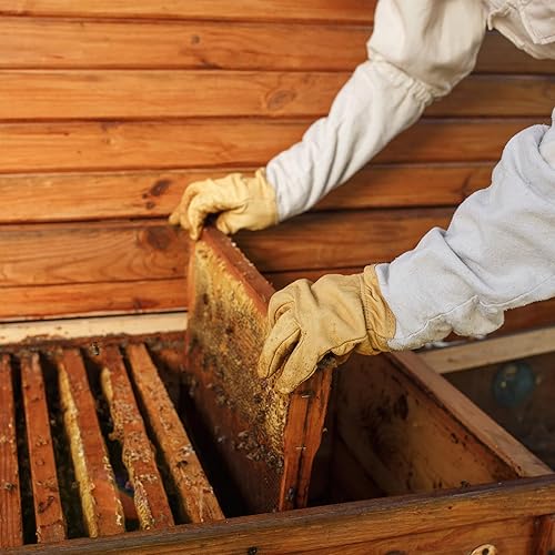Miniatura 7 de HARFINGTON Traje de abeja para hombres y mujeres, L trajes de apicultura con capucha de velo y guante para patio trasero profesional y principiante