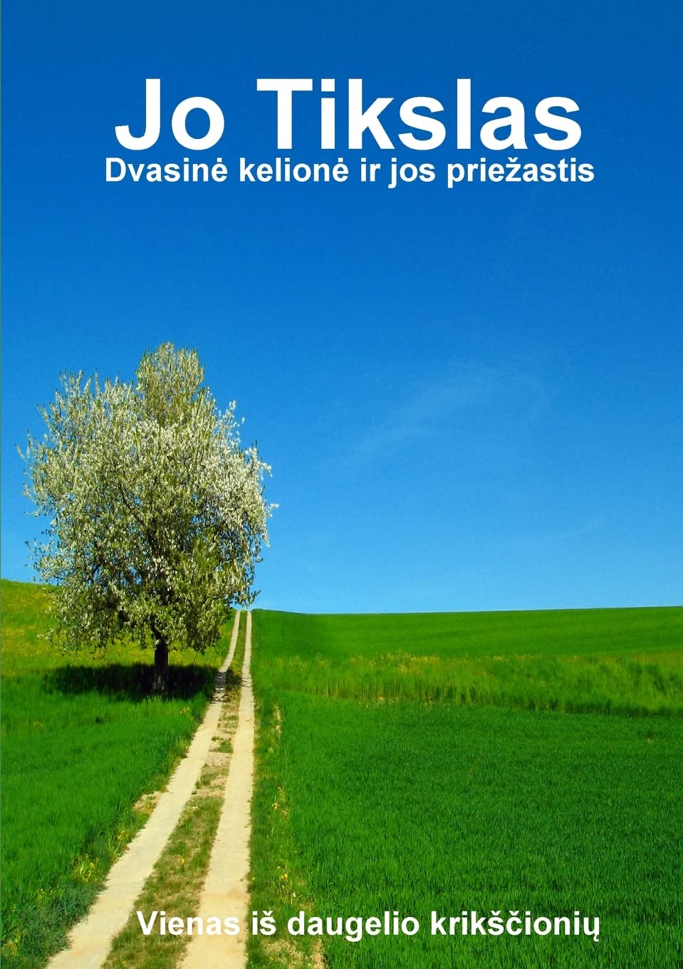 Jo Tikslas (Lithuanian Edition)