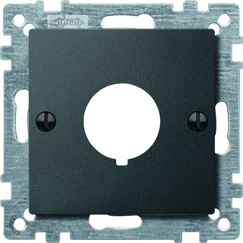 Plaque centrale Merten en finition anthracite pour habiller vos commandes
