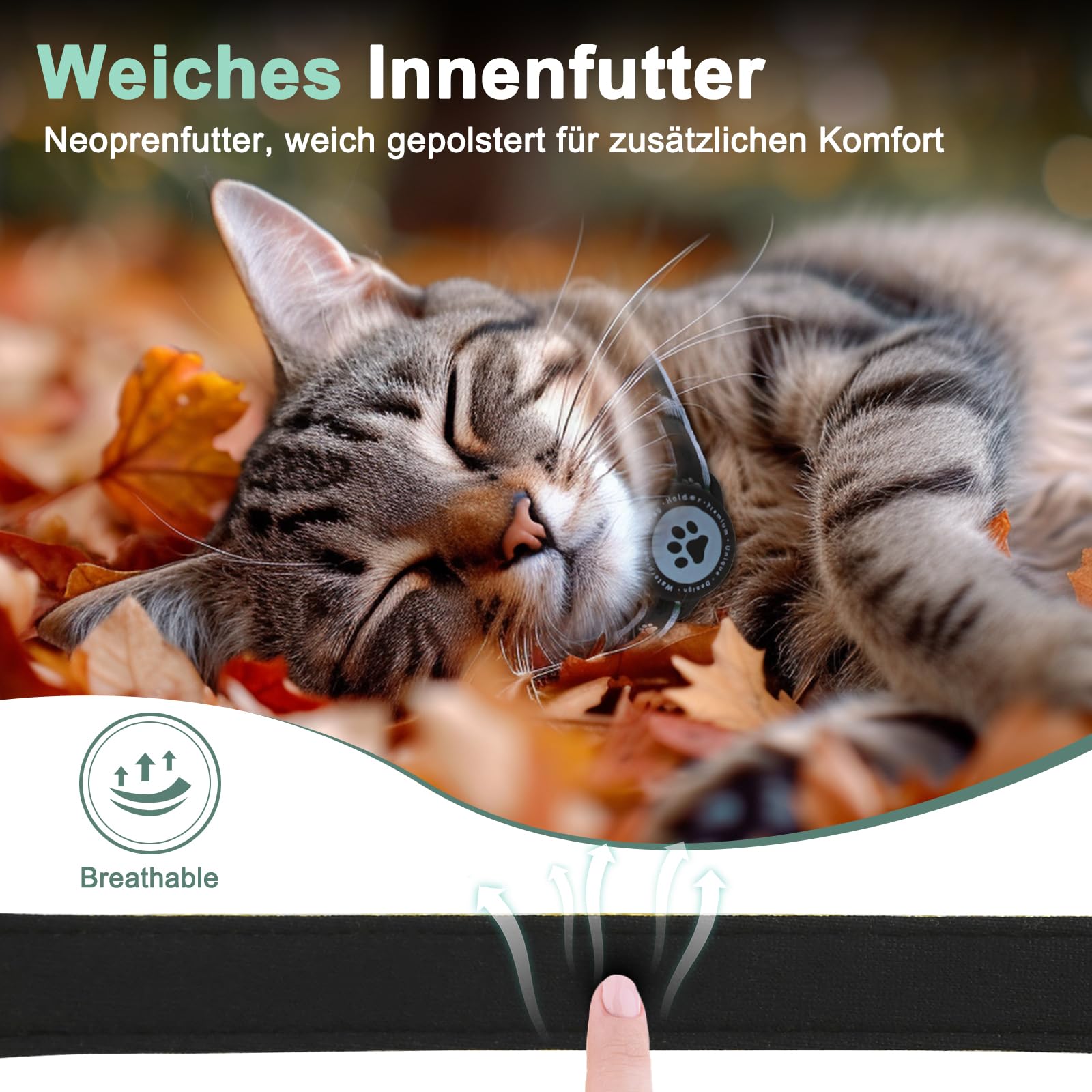 Katzenhalsband Aus Baumwolle – 2 Stück, Rosa & Grau, Mit Glöckchen Und Sicherheitsverschluss