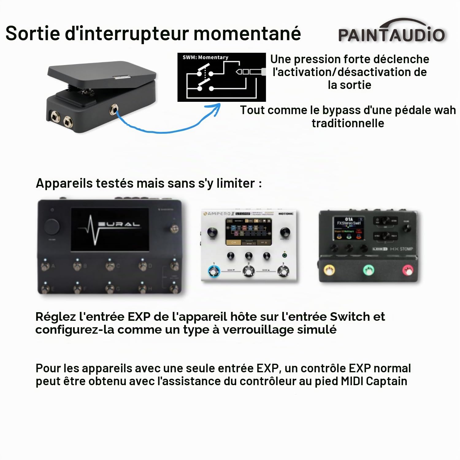 Paint Audio Foot Captain Pédale d'expression multi-effets compatible avec connexion pointe/anneau (Foot Captain-SWM)